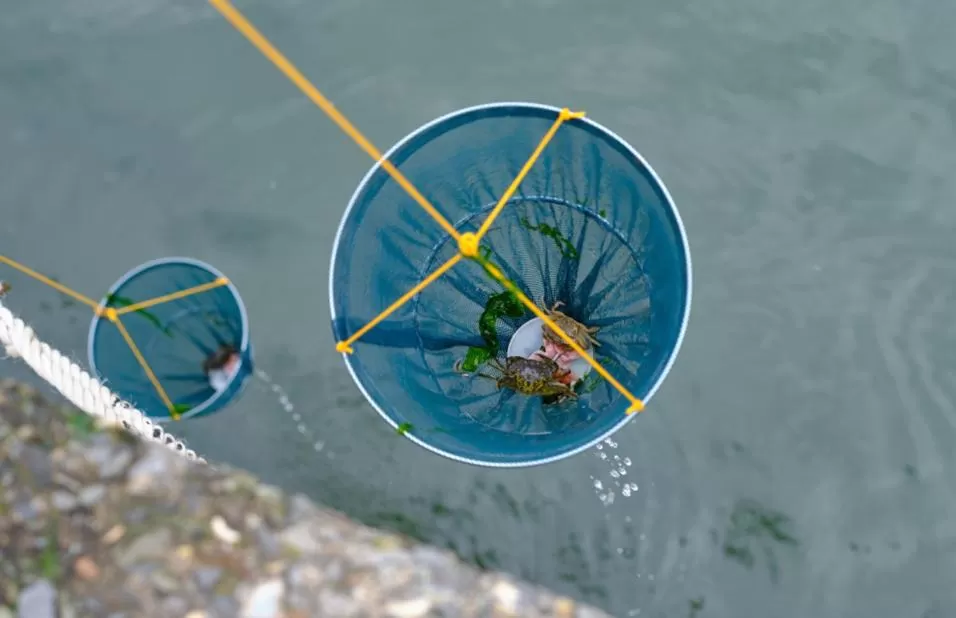 Property building in The Seagate