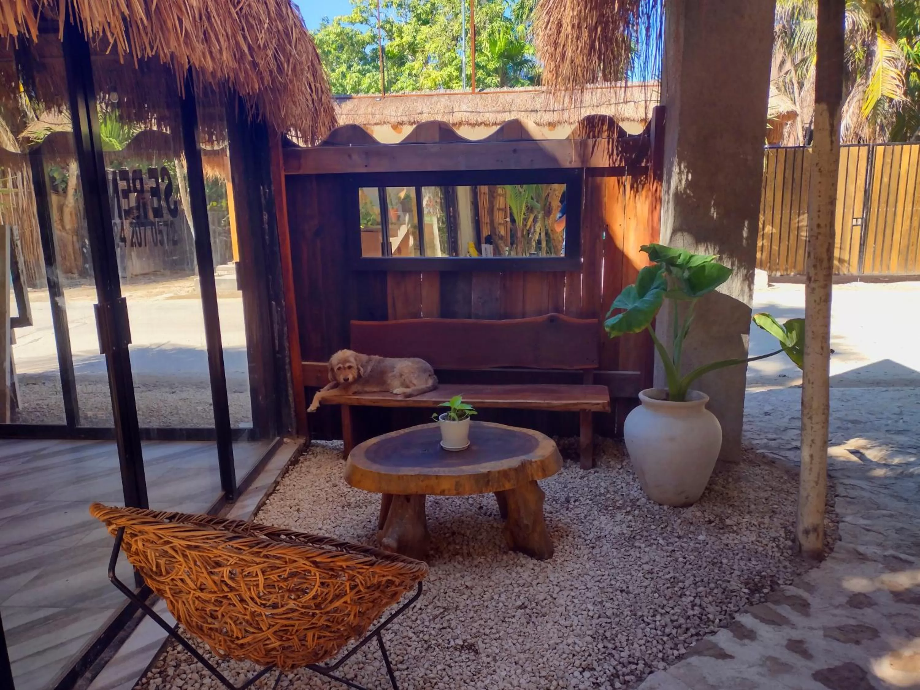 Lobby or reception in Sivana Tulum