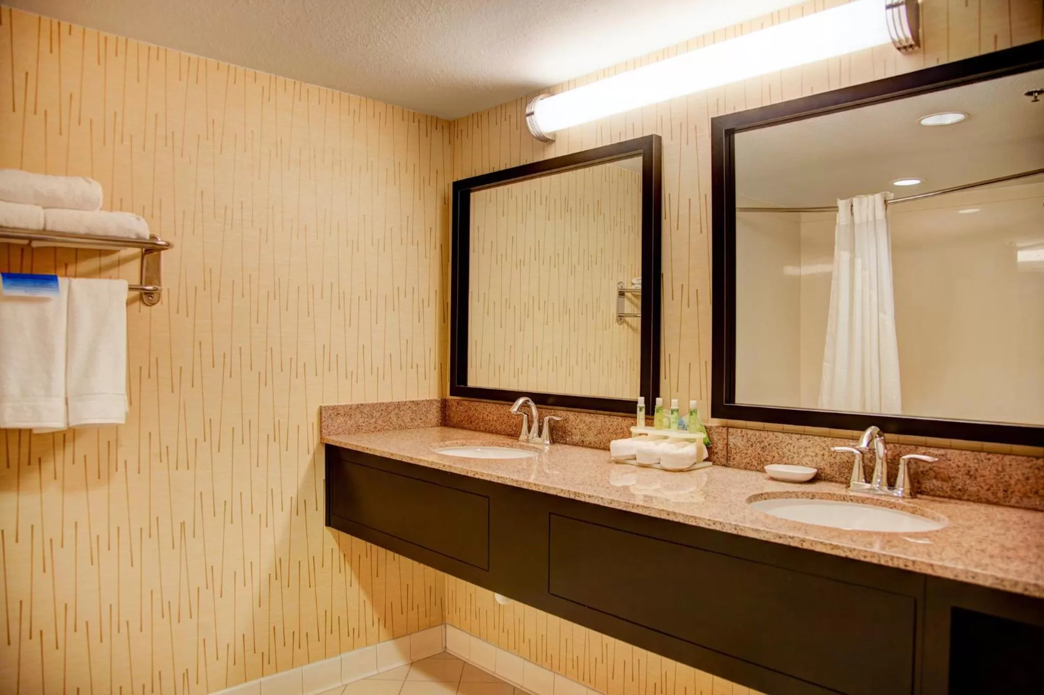 Bathroom in Holiday Inn Express Tyler South by IHG