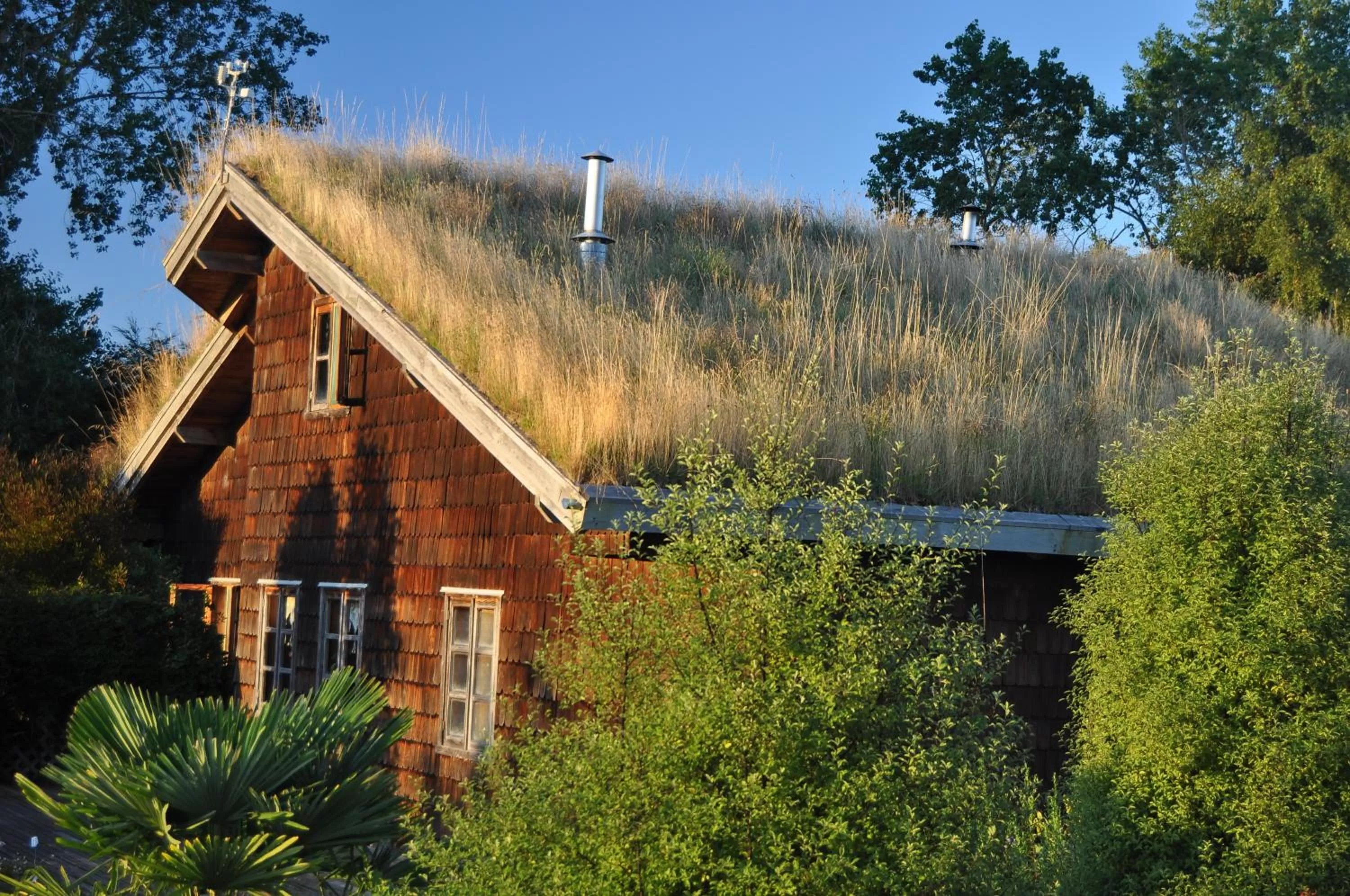 Facade/entrance in Hostal Zapato Amarillo