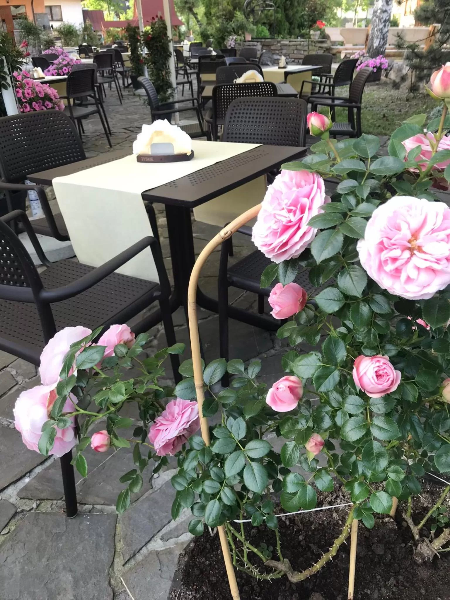 Restaurant/Places to Eat in Zajazd Białczański Dom Wypoczynkowy Restauracja