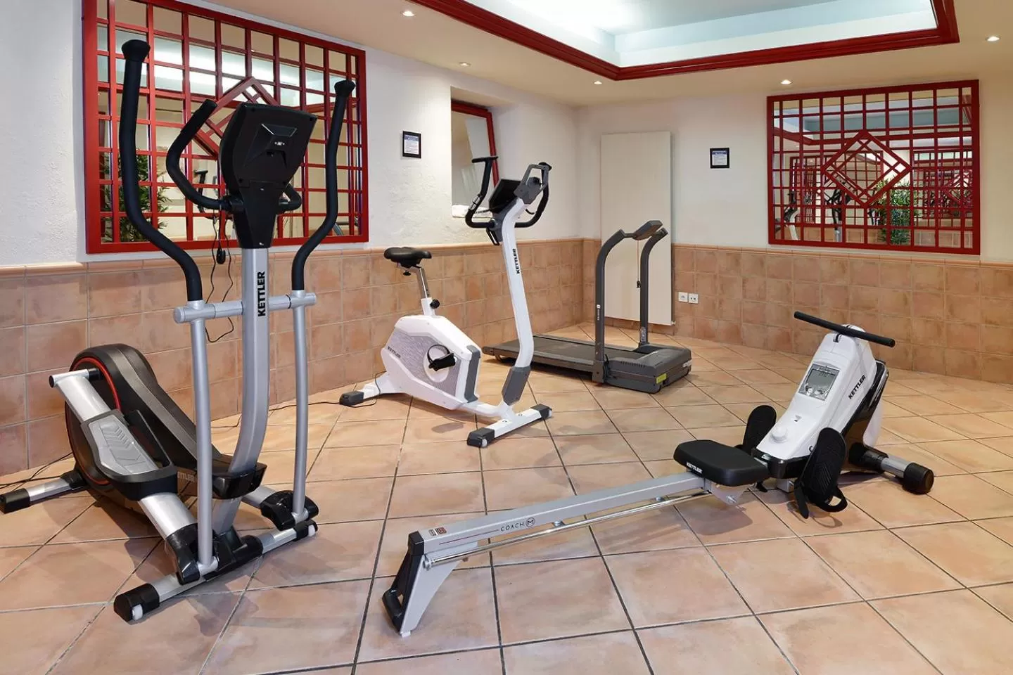 Fitness centre/facilities in Hotel des Alpes