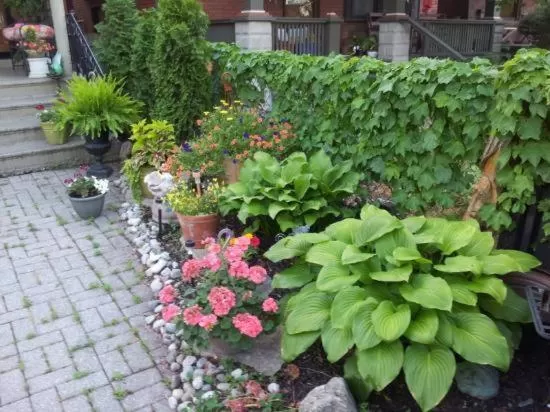 Garden in A Hidden Gem Bed and Breakfast