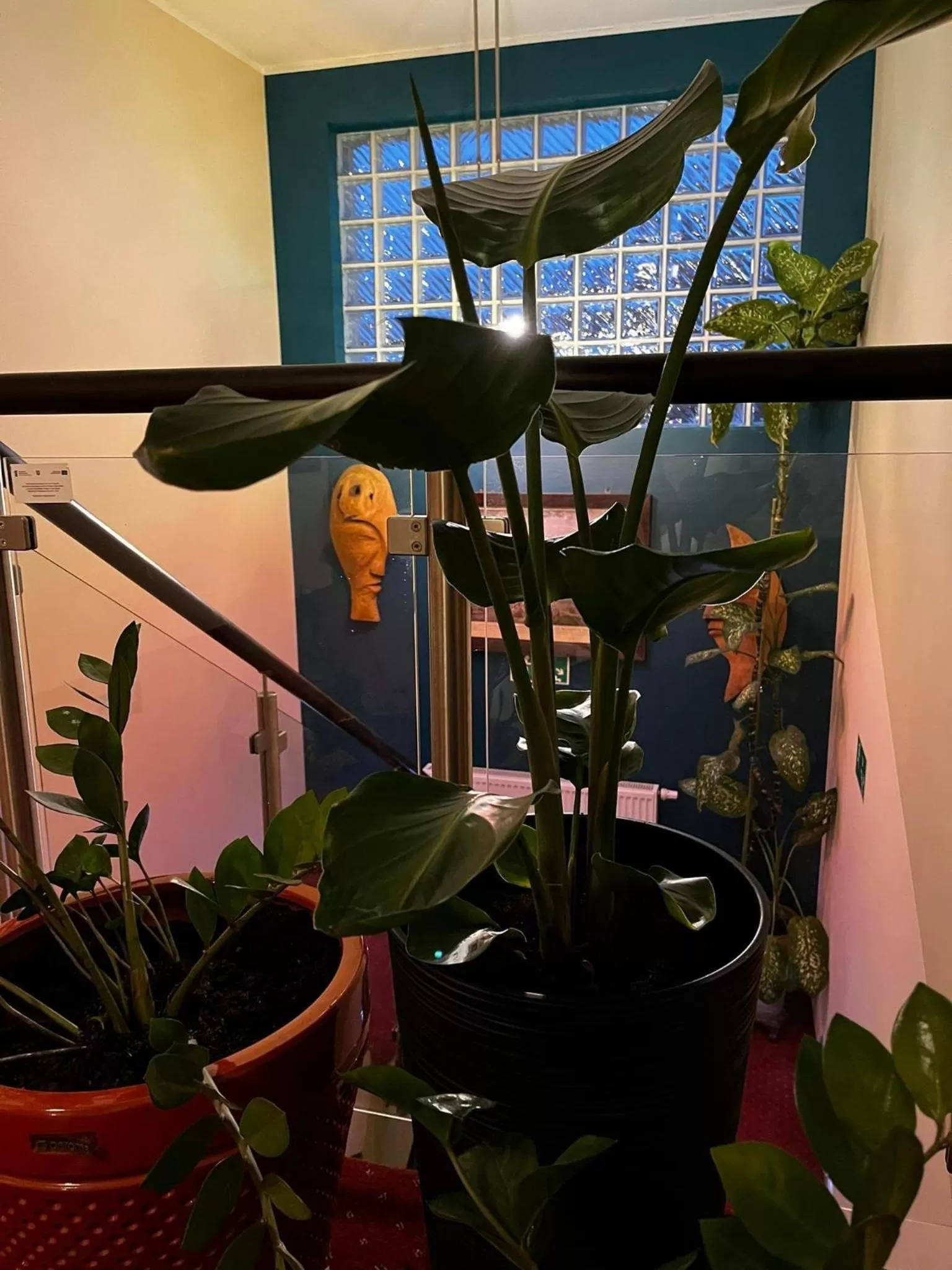 Restaurant/places to eat in Tenis Club