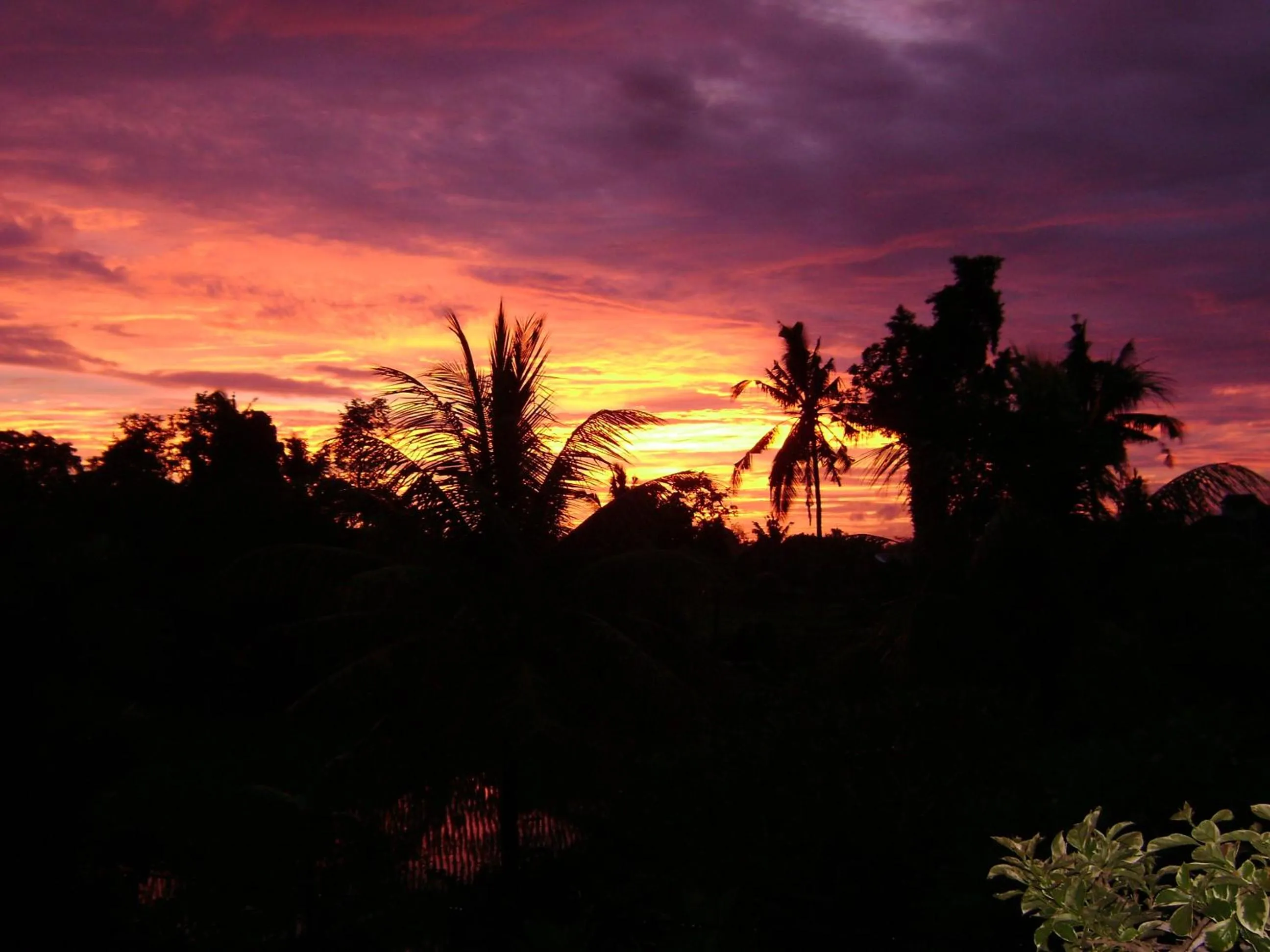 Garden view in Kun - Kun Guest House Ubud