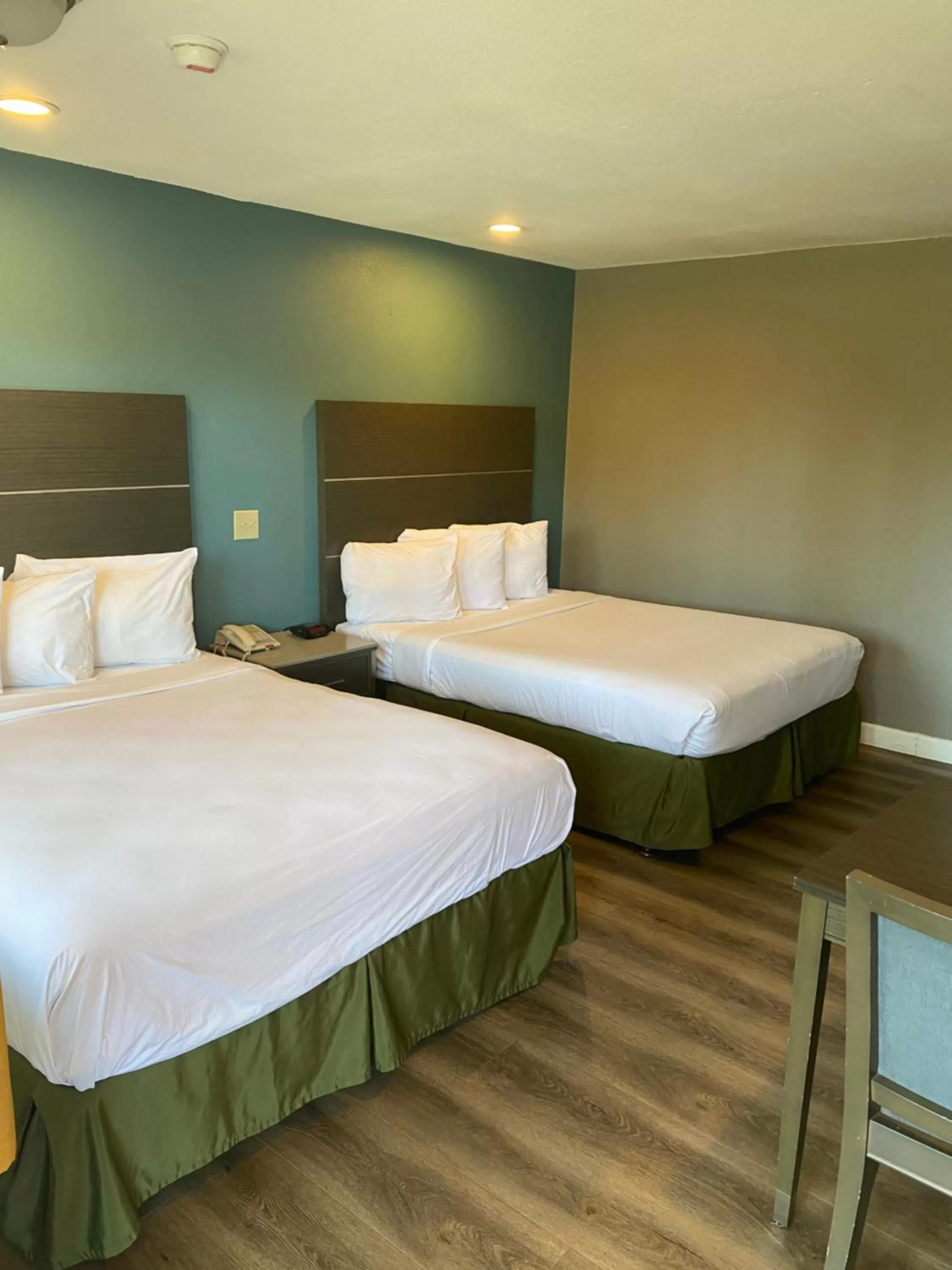 Standard Double Room in Hotel Palmeras Chula Vista