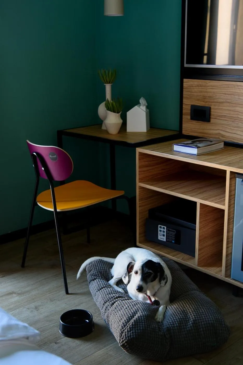 Pets in The Poet Hotel