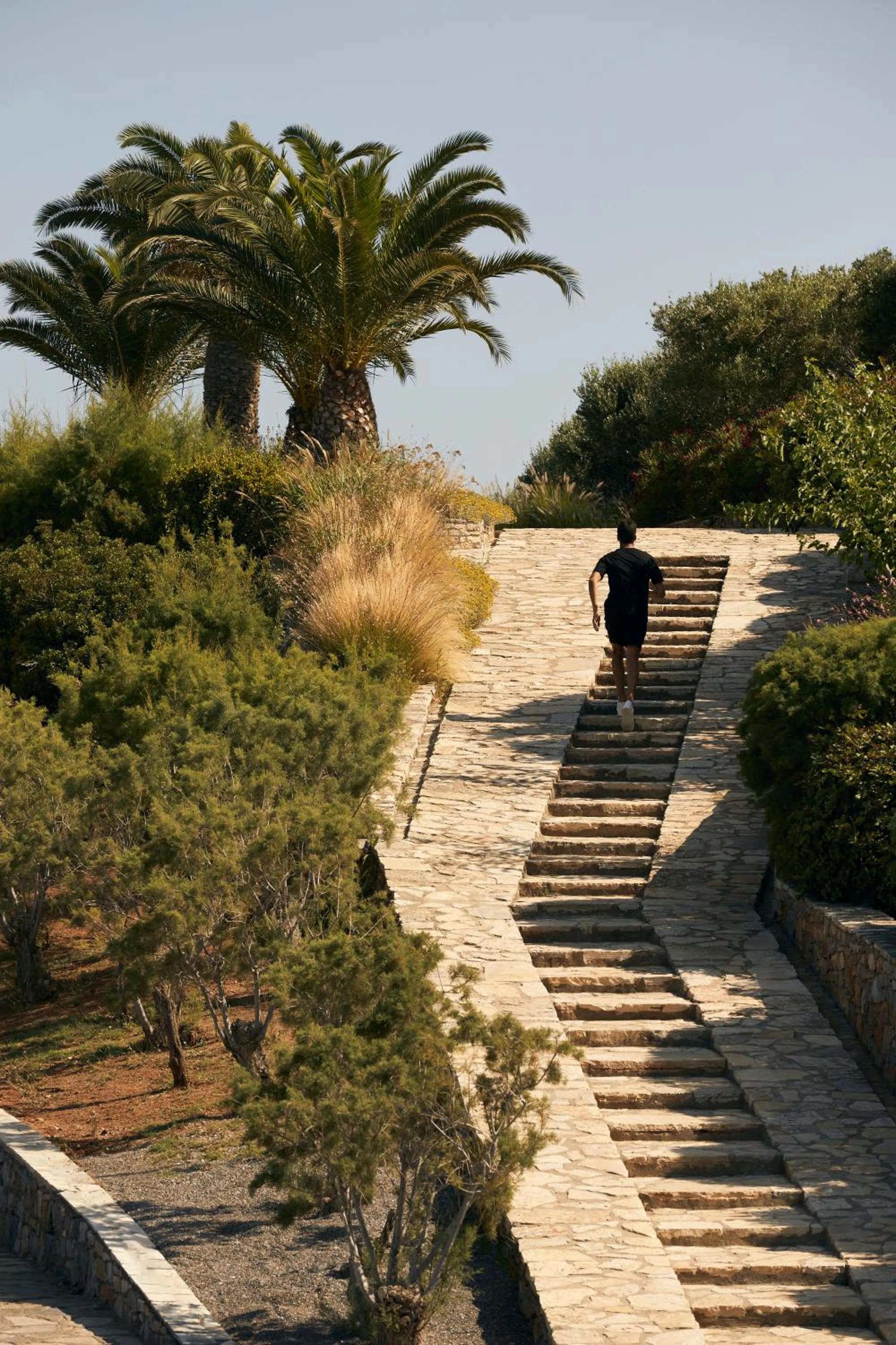 Sports in Minos Palace Resort - Adults Only