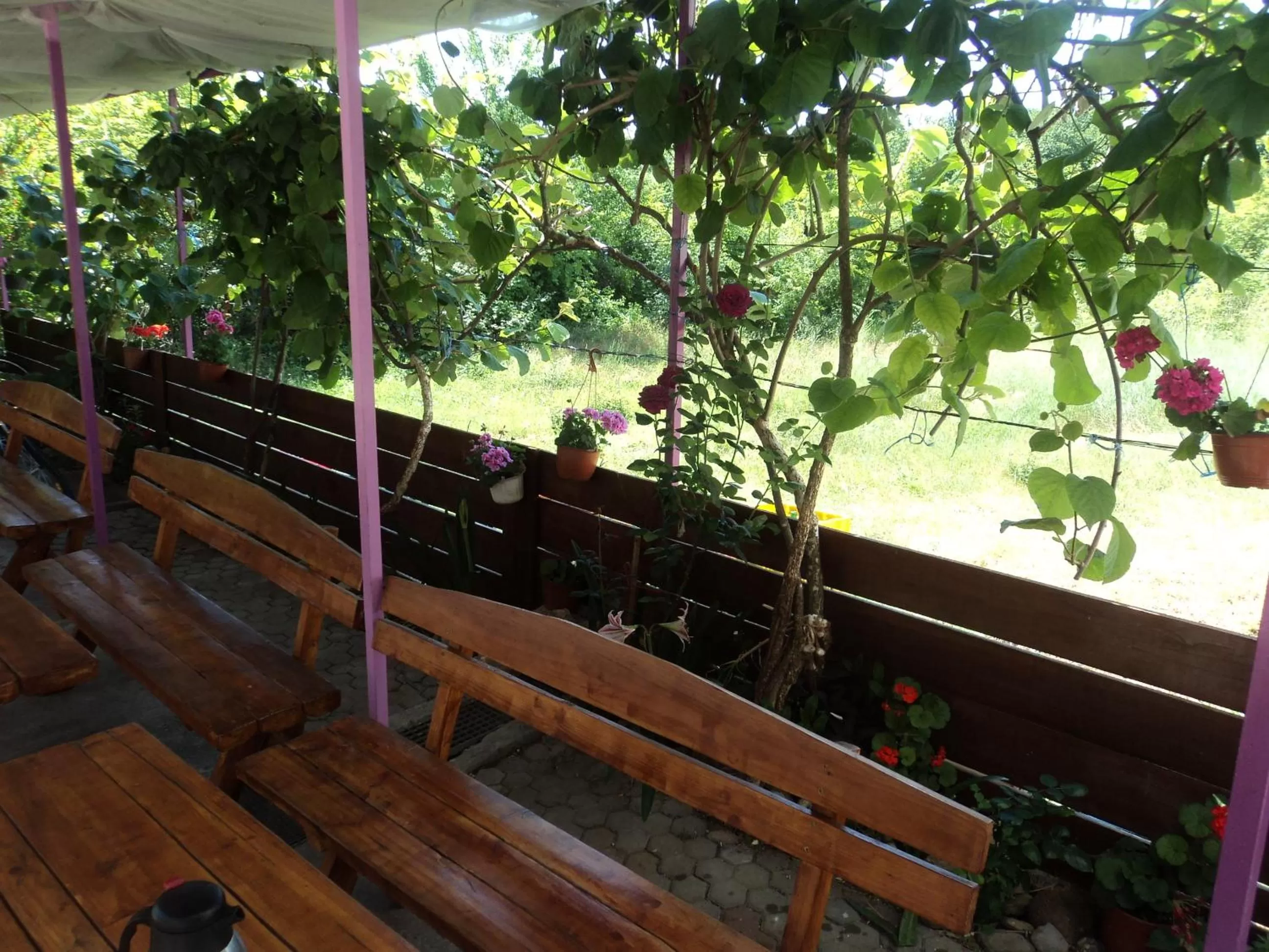 Garden in Pansion Modana Medjugorje