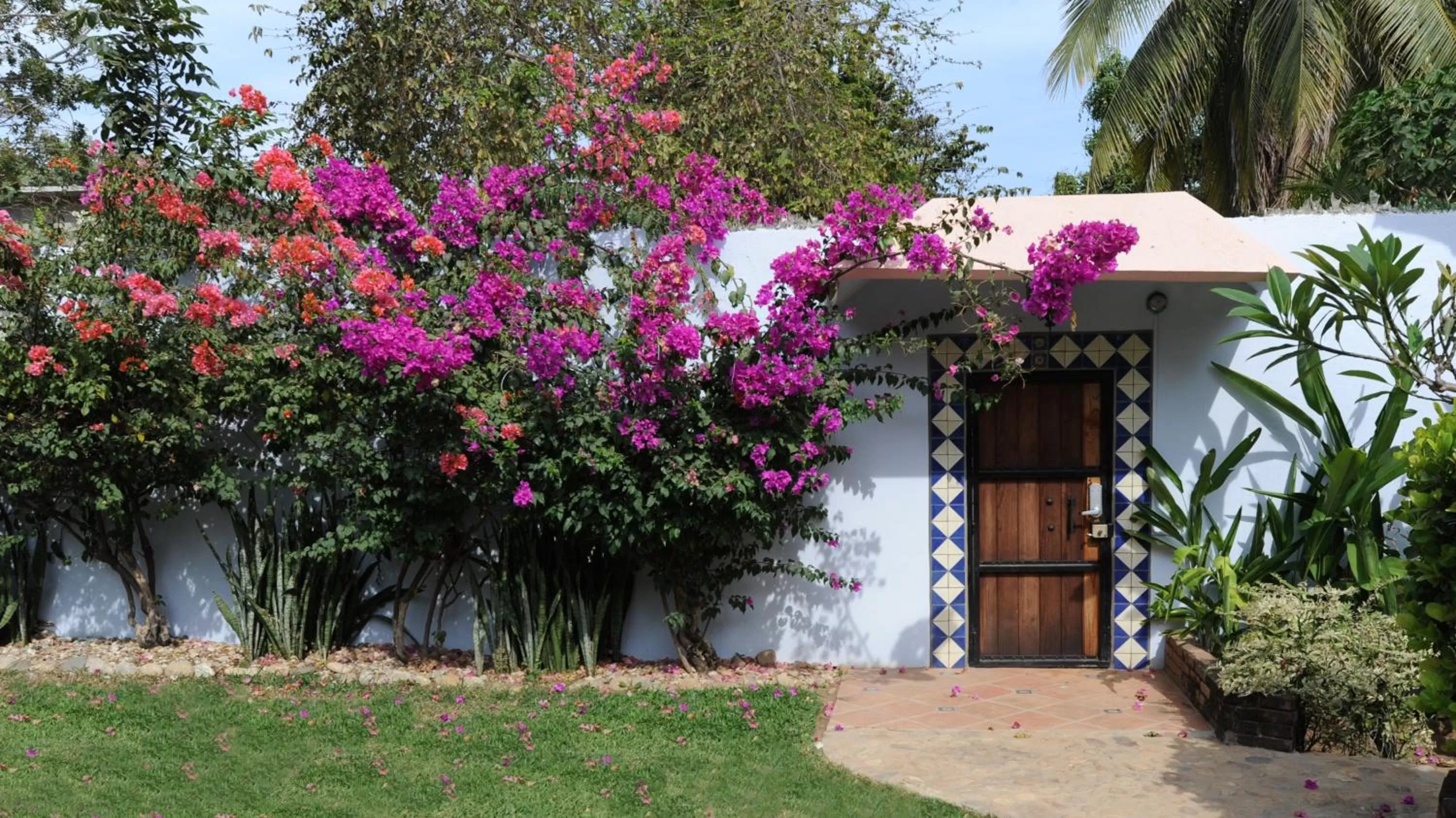 Garden in Hotel Casamar Suites