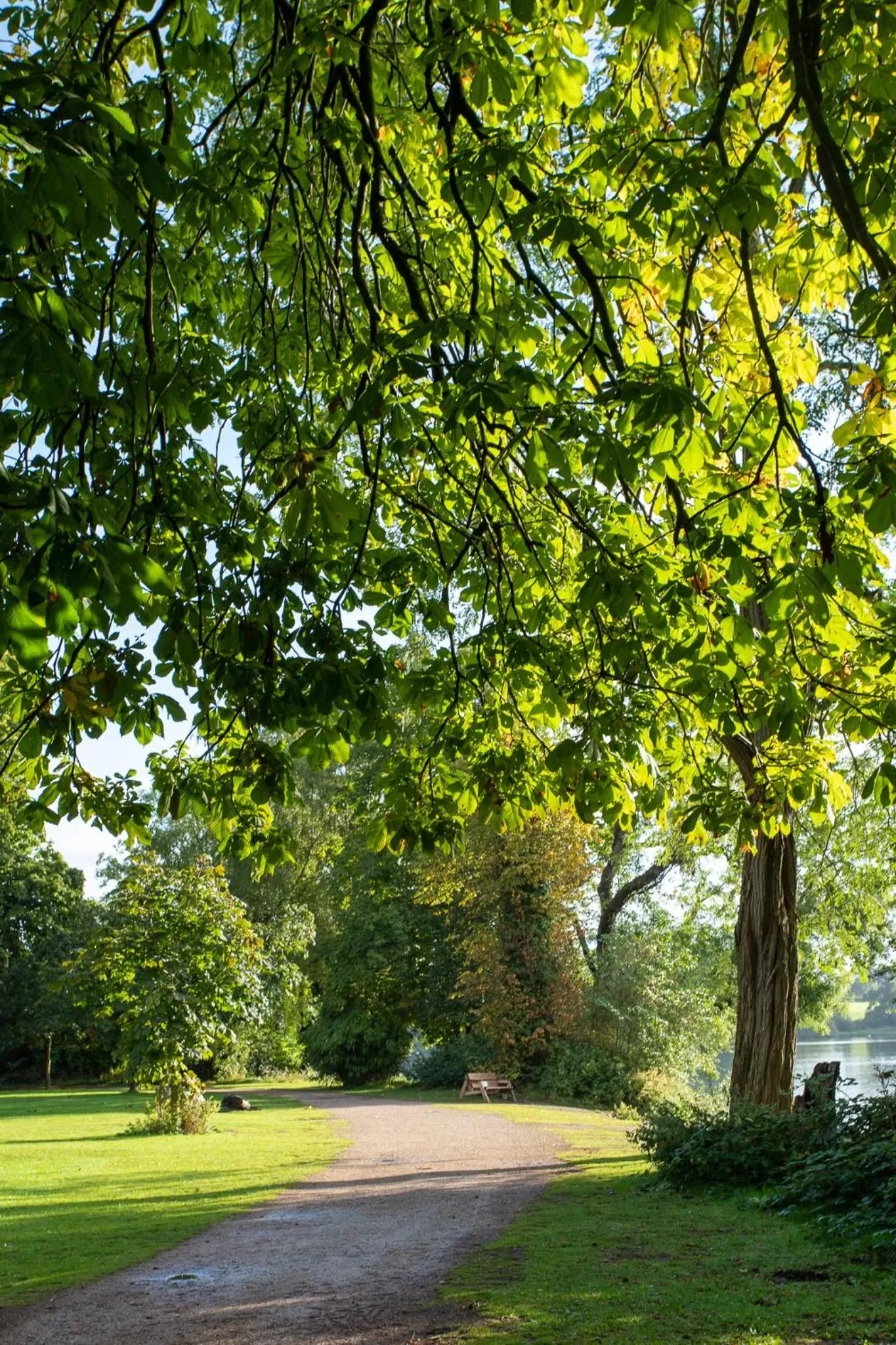 Nearby landmark in Ellesmere Hotel