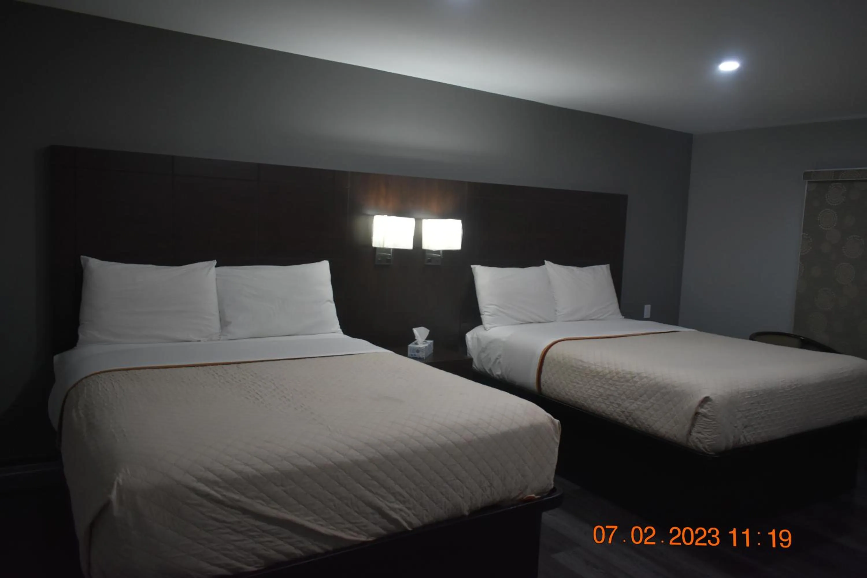 Bedroom, Bed in Time Travellers Motel