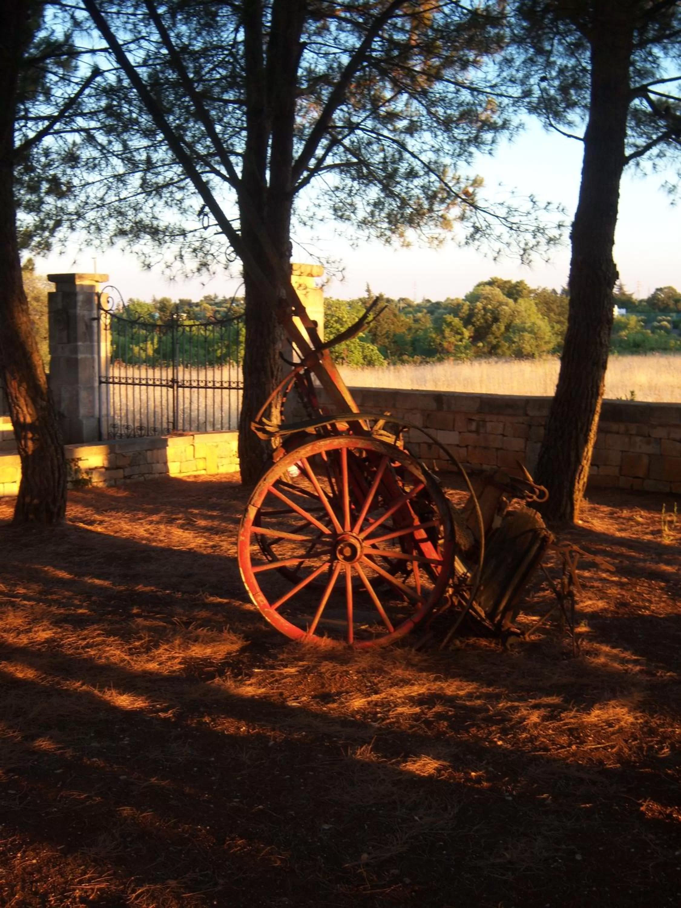 Decorative detail, Garden in Masseria Tolla