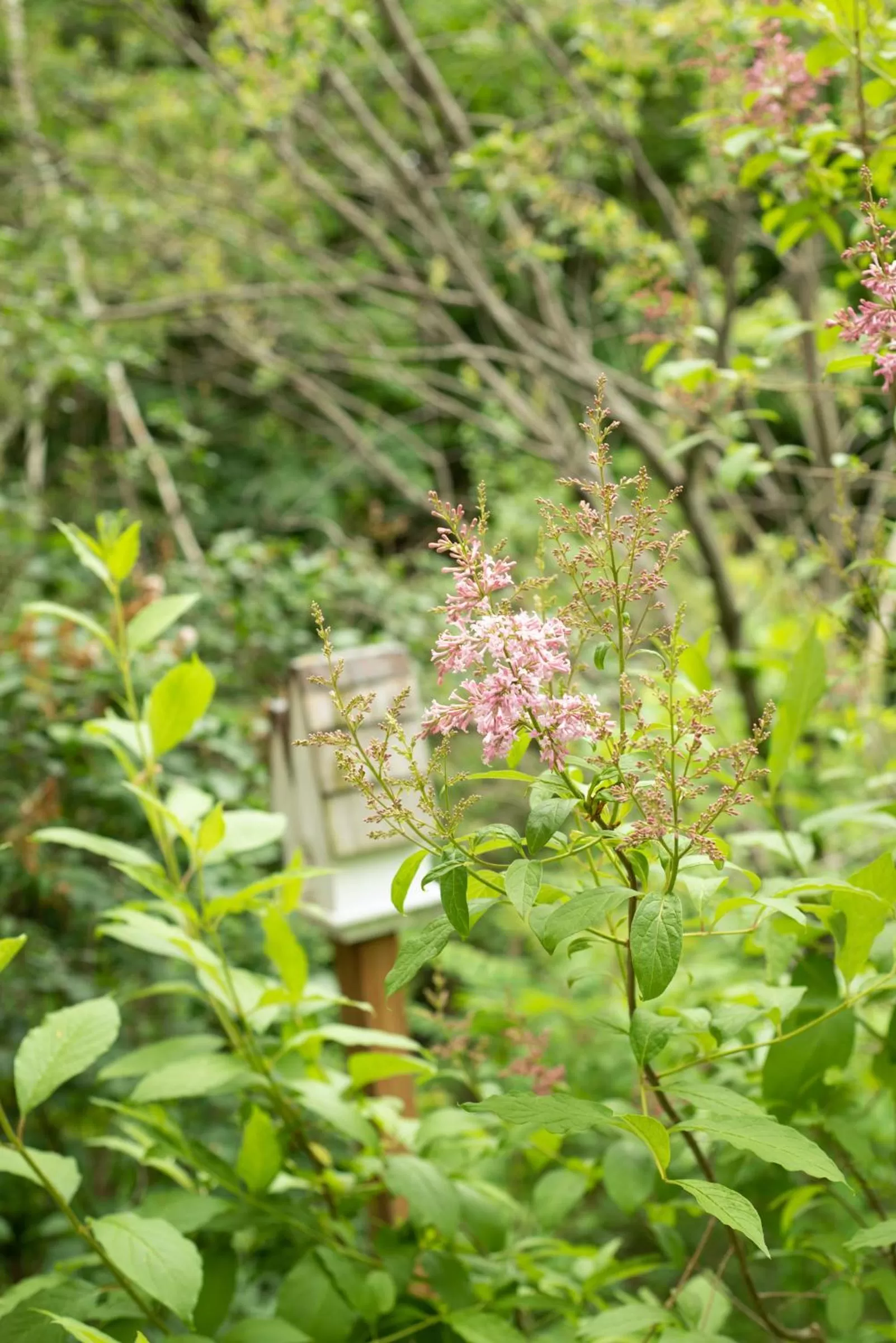 View (from property/room) in The Inn at Thorn Hill