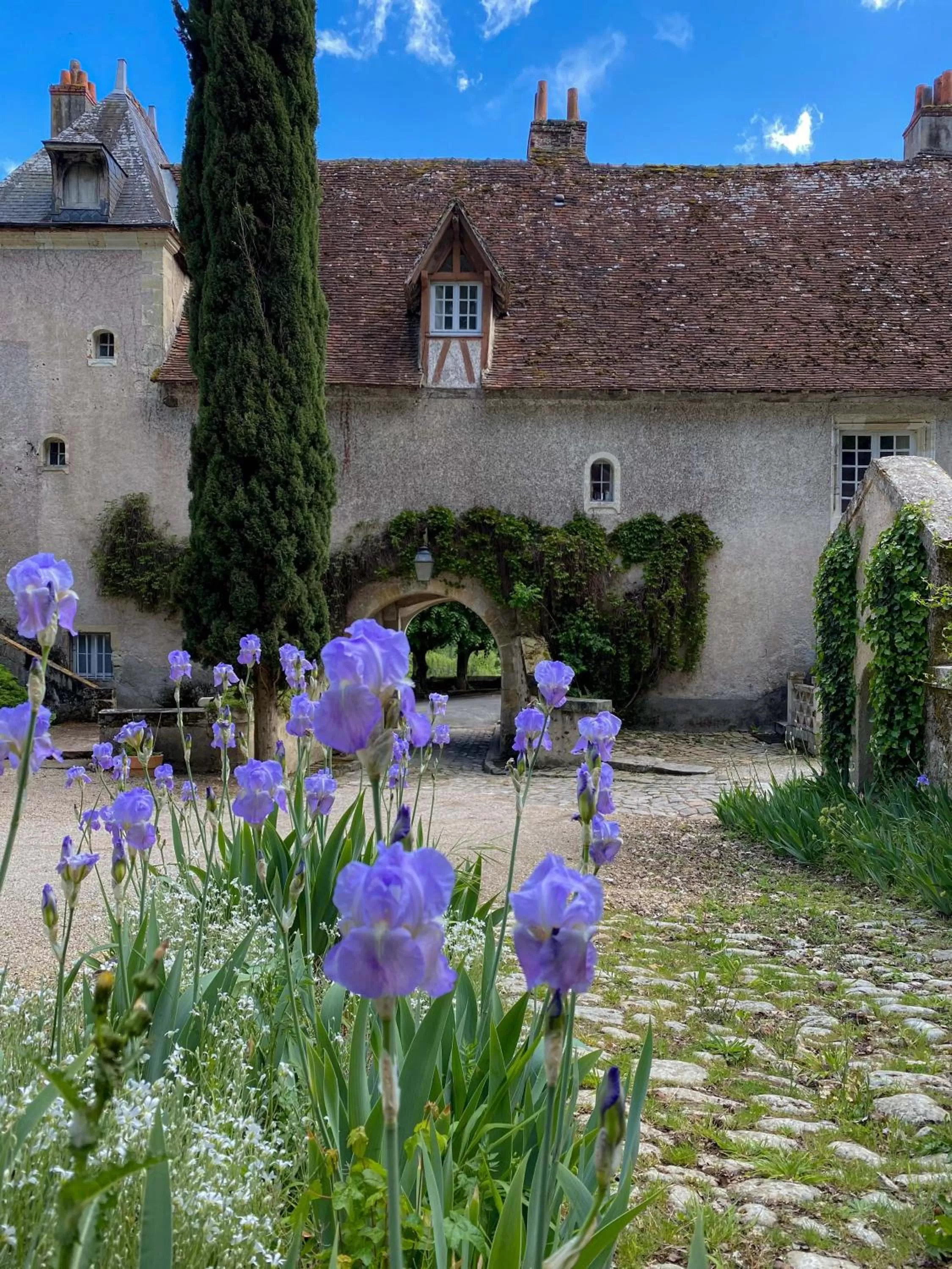 Property building in Château de Nazelles Amboise