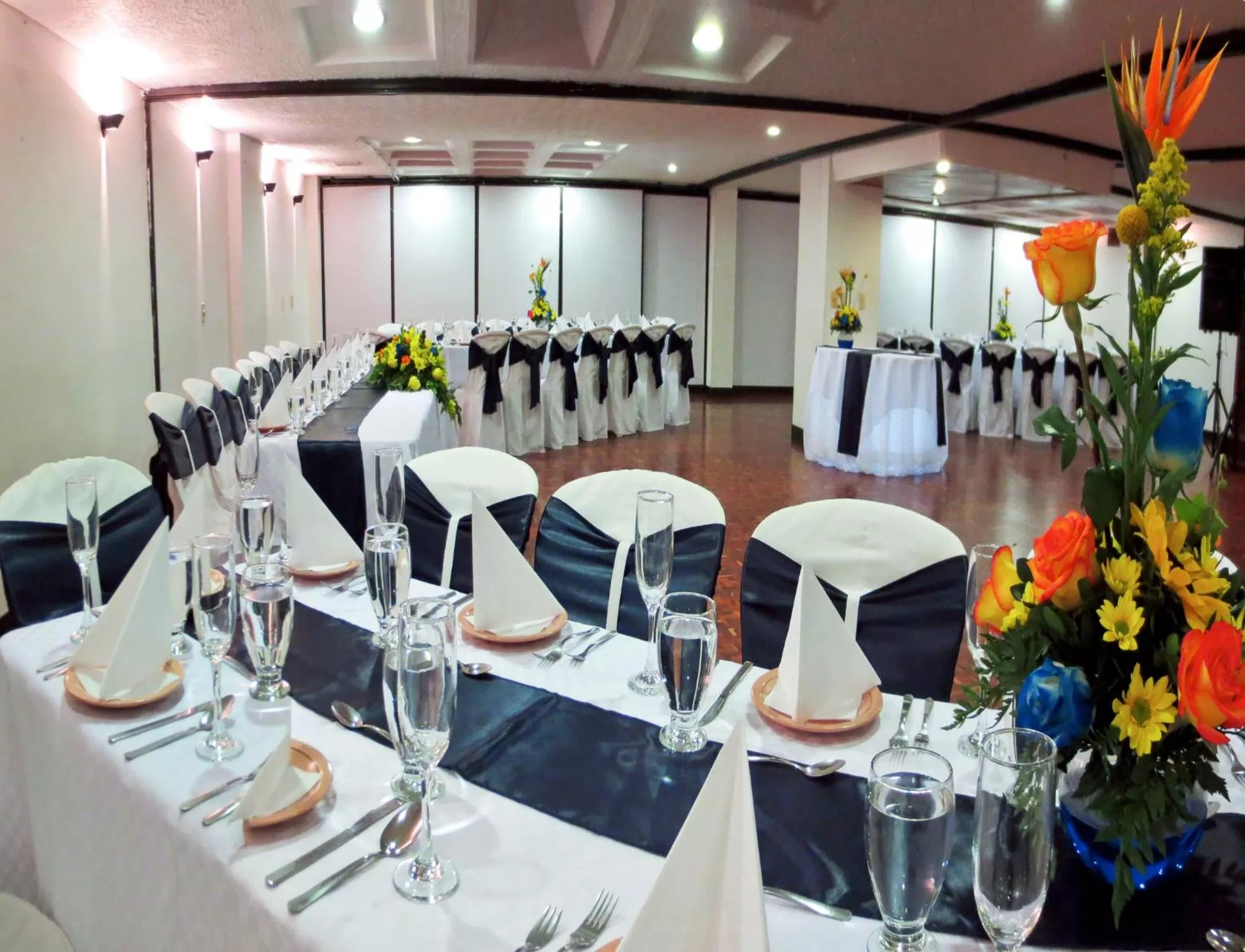 Business facilities in Hotel Don Saul