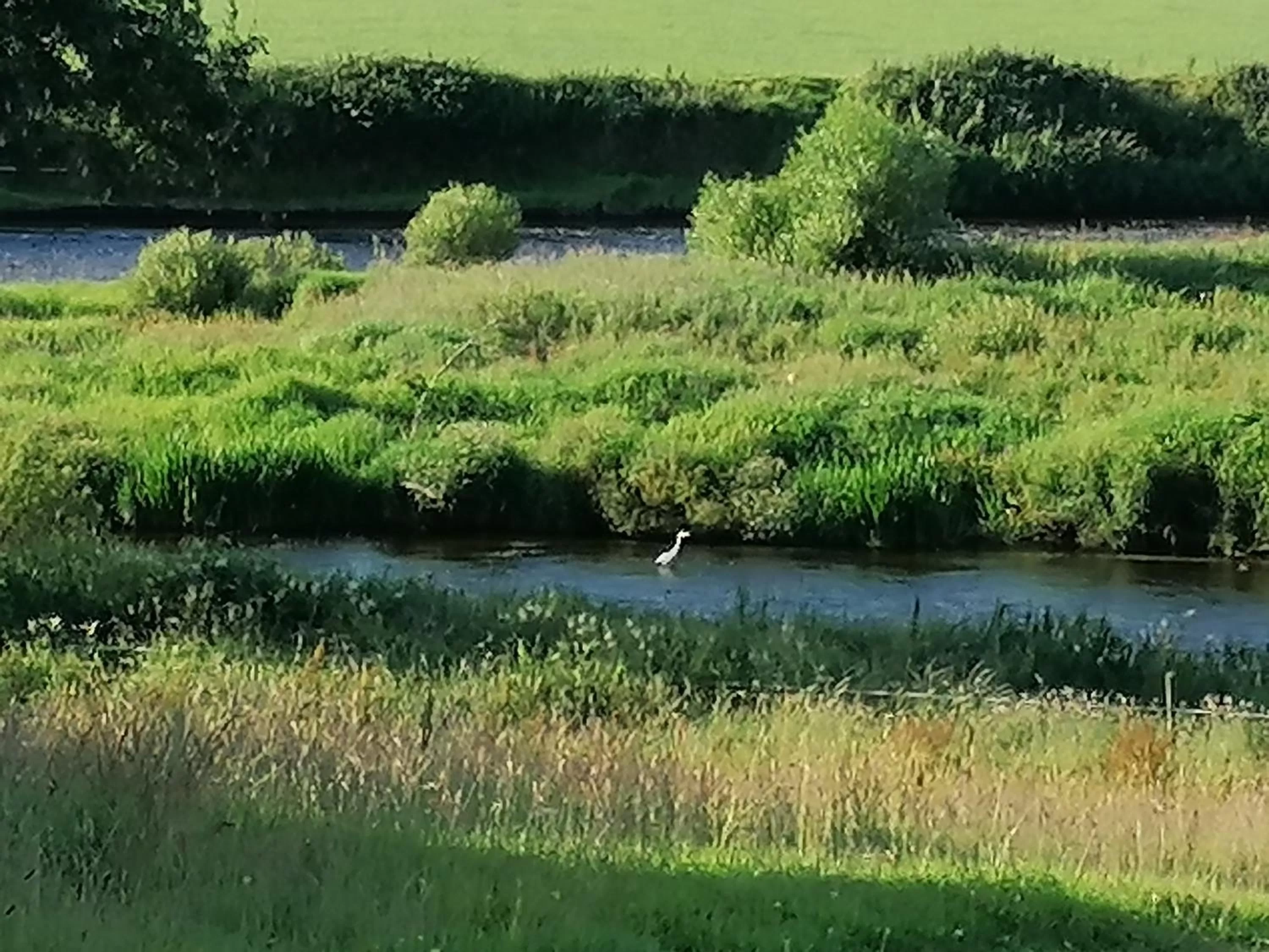 Cable Island Bed and Breakfast