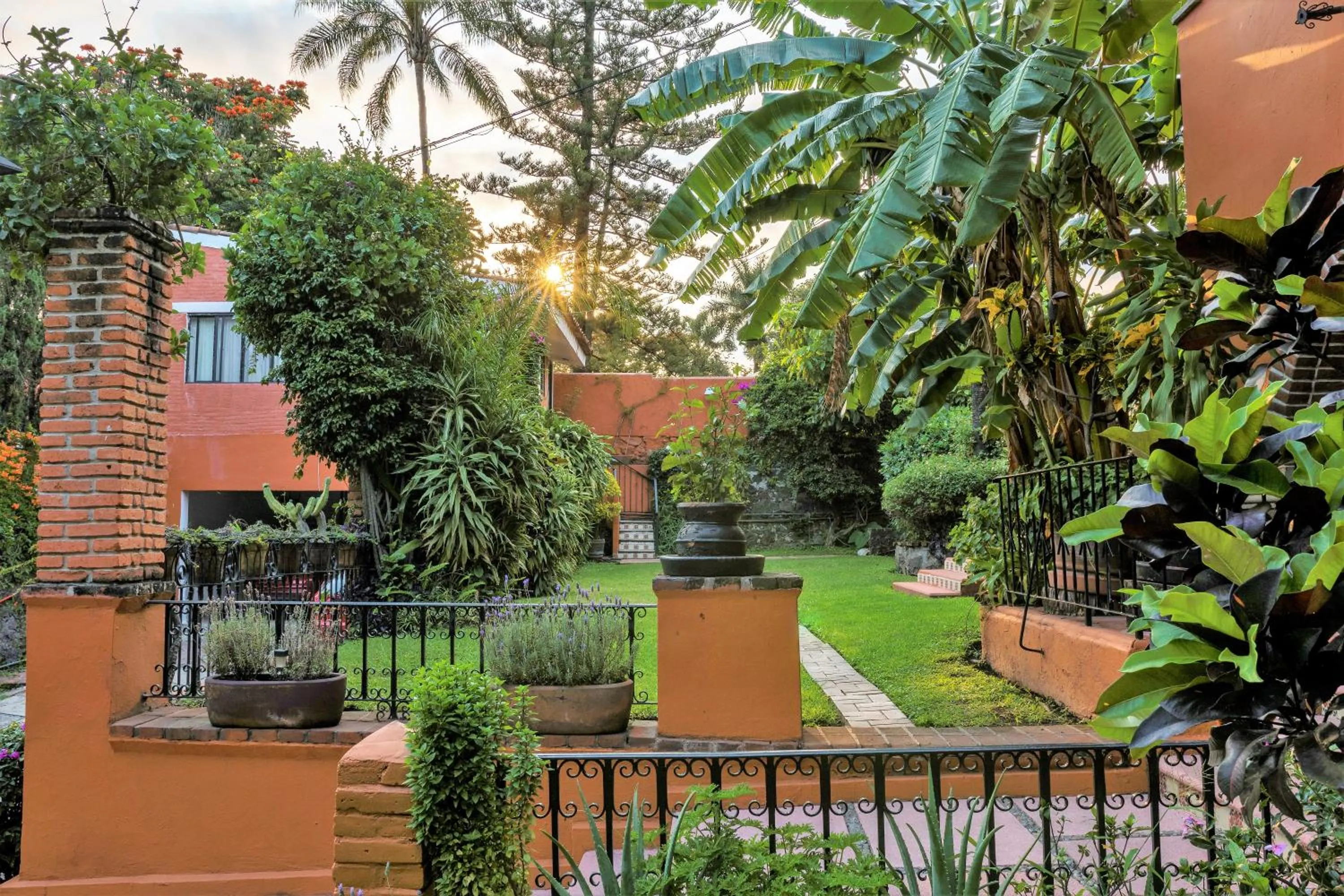 Garden in Hotel San Angelo