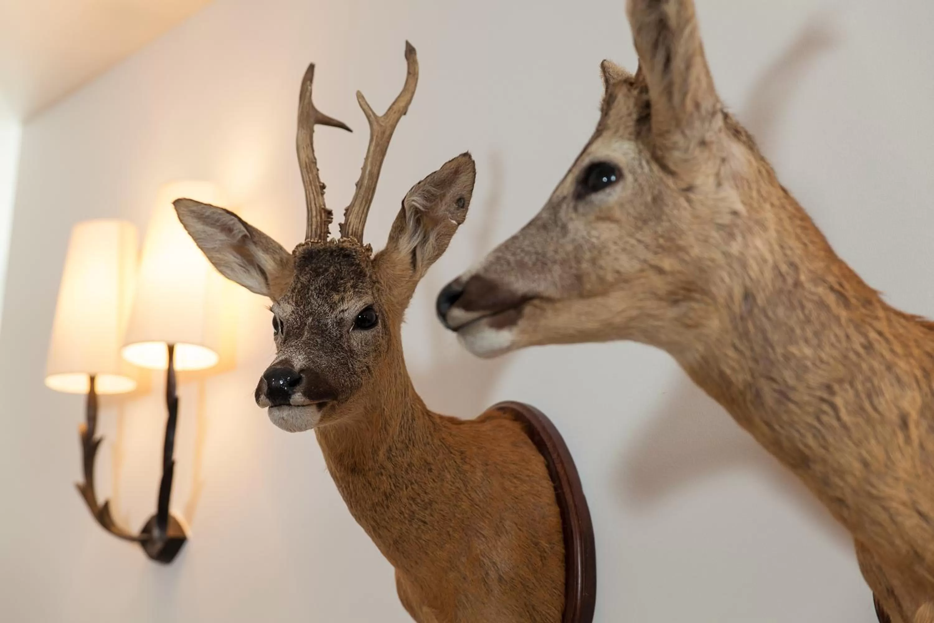 Decorative detail in Boutique-Hotel Garni Bellevue Davos Wiesen