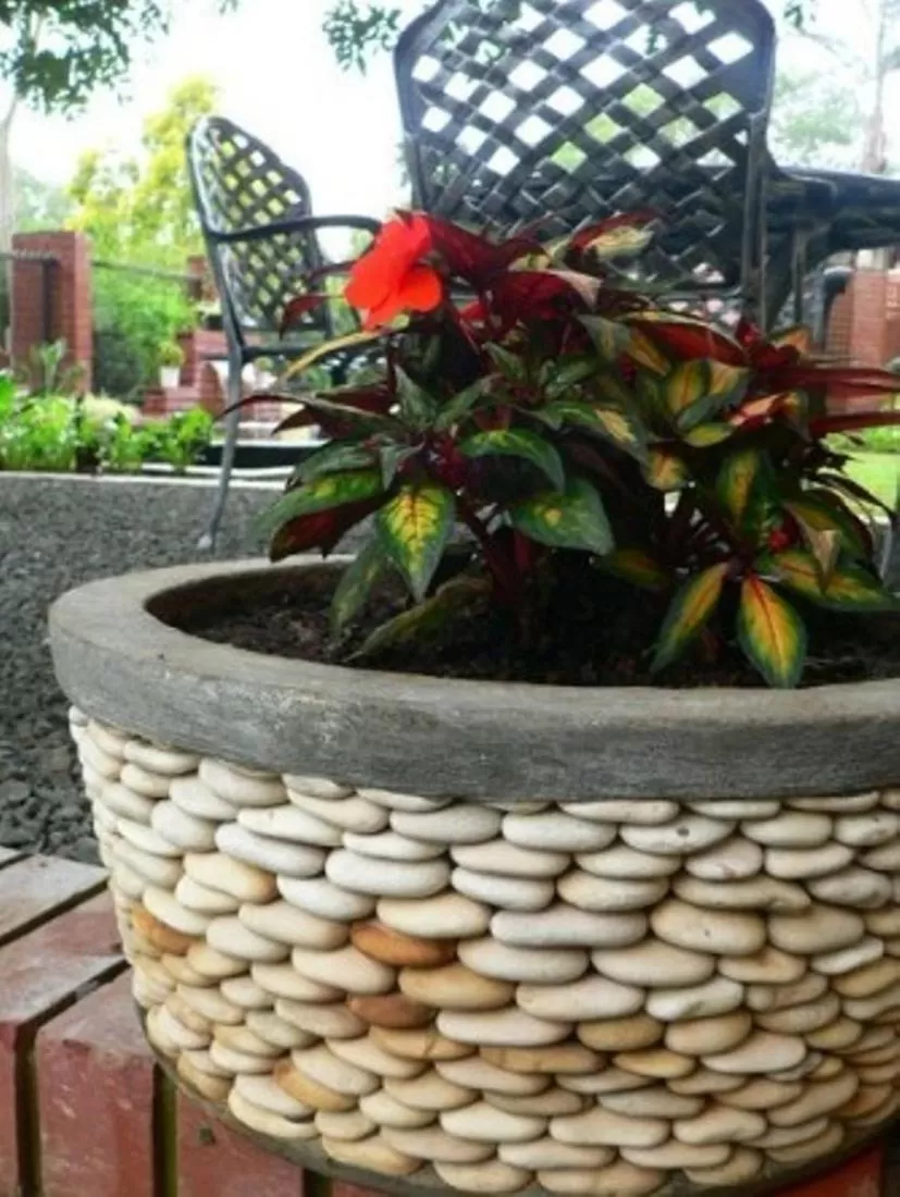 Patio in Rustenburg Boutique Hotel