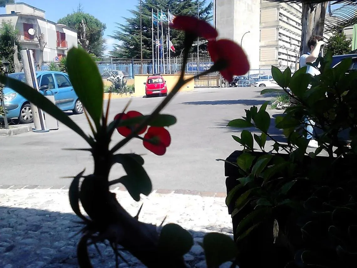 Day in Green Park Hotel