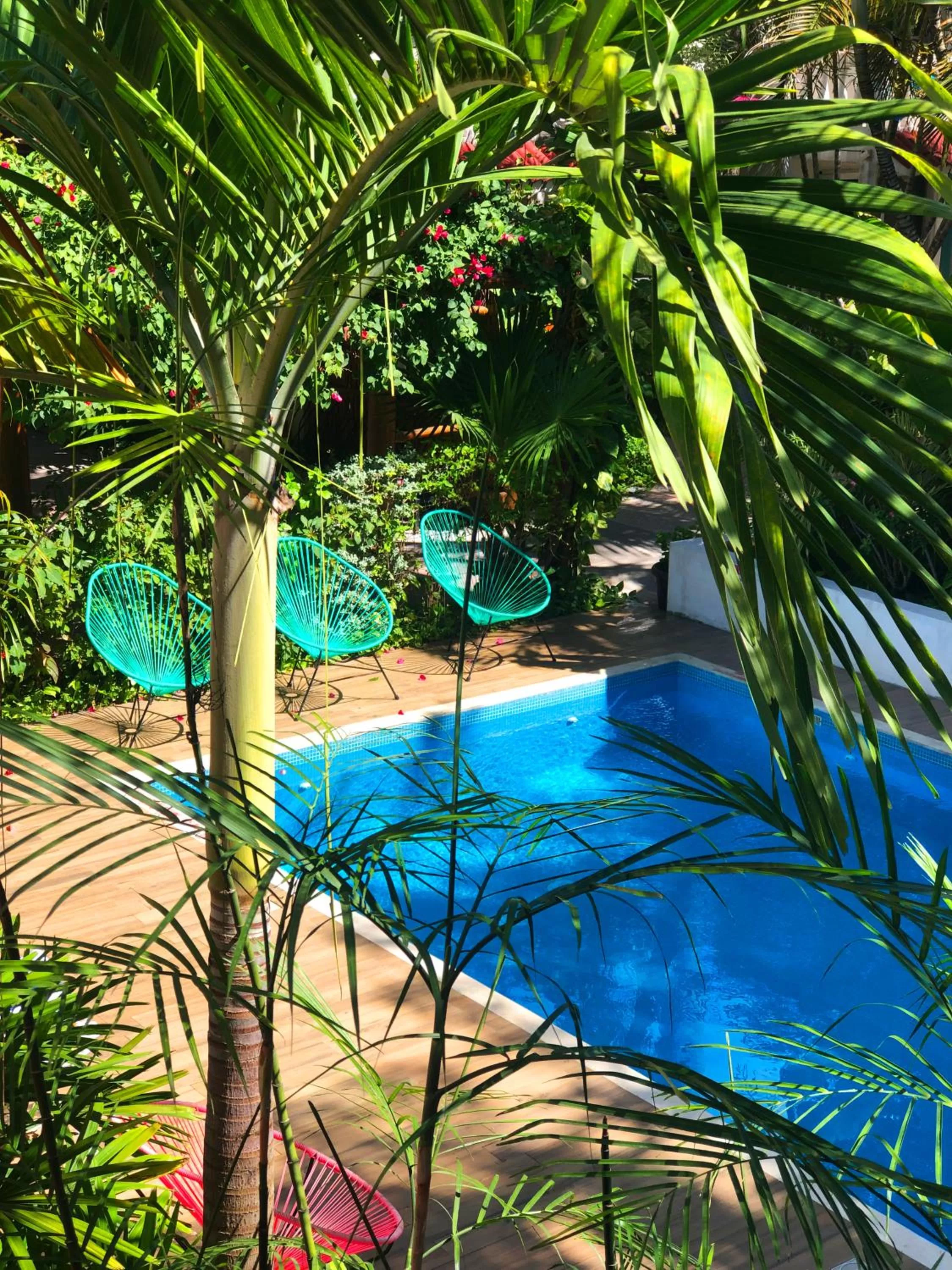 Pool view in Hotel Villas Colibrí Suites & Bungalows