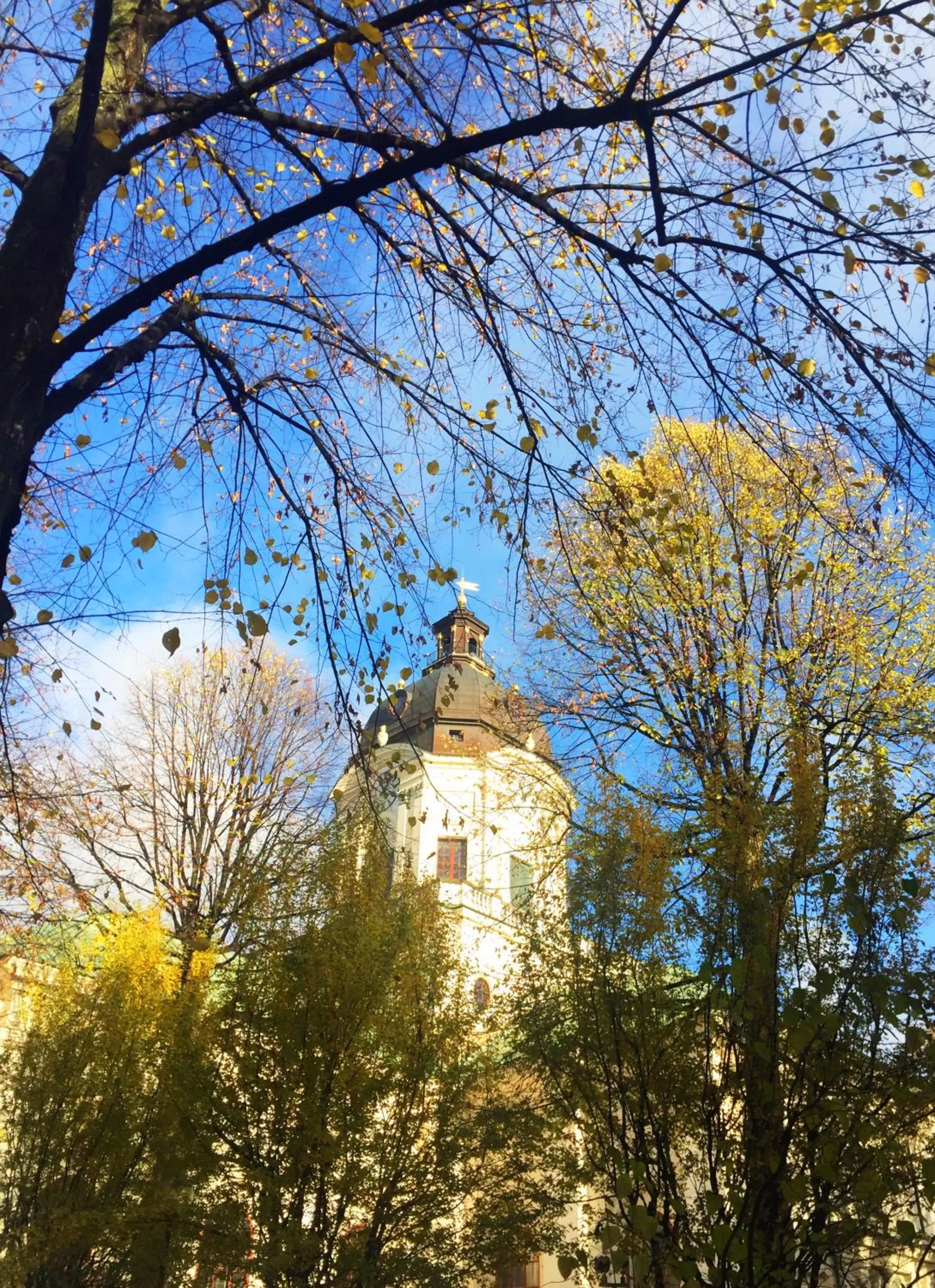 Neighbourhood in Hotel Hötorget, BW Signature Collection