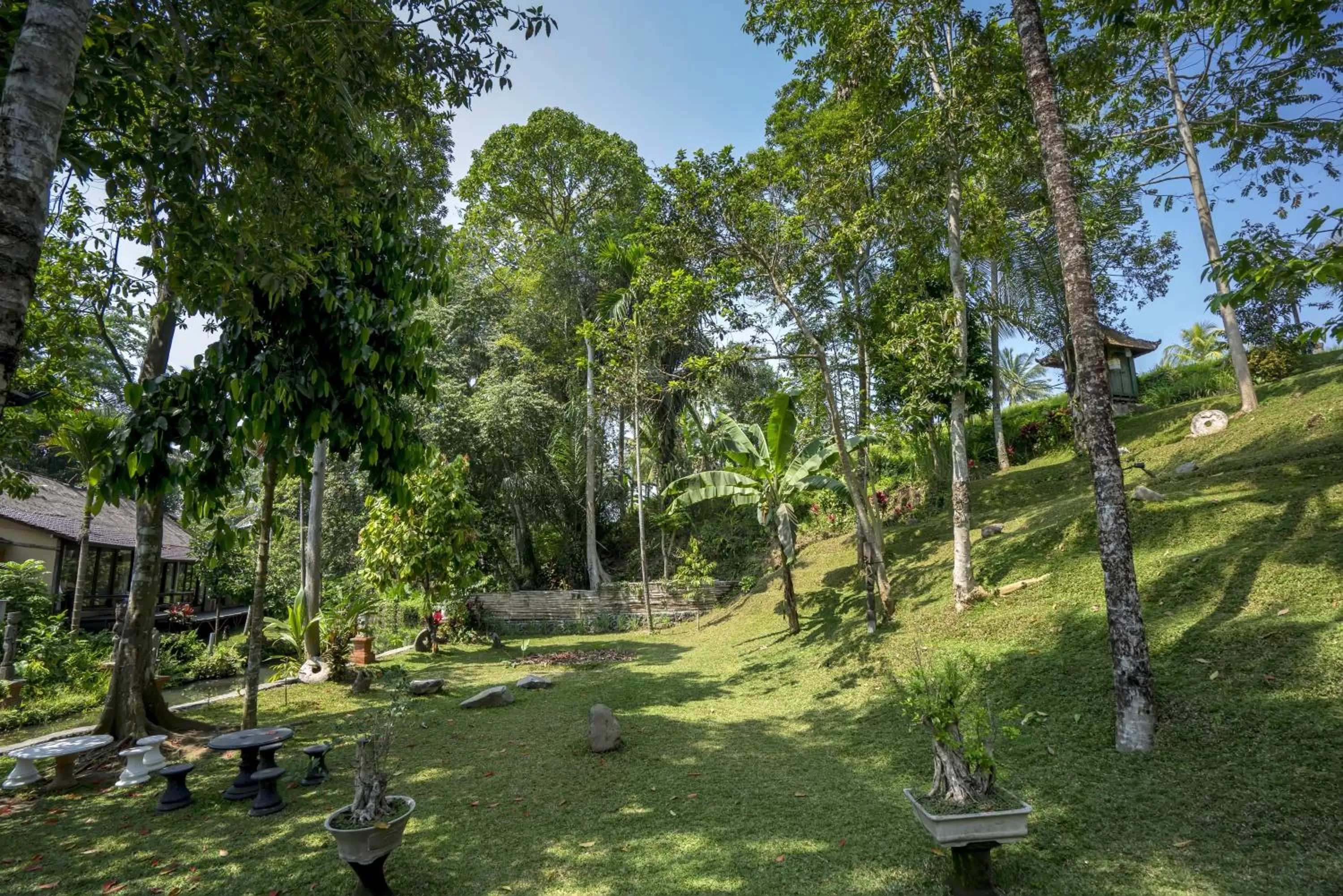 Day in Ubud Sari Health Resort