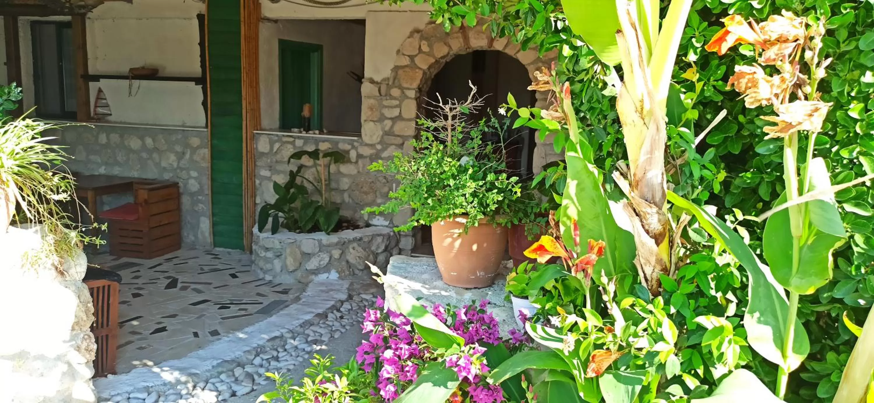 Maxola's Dream Orikum