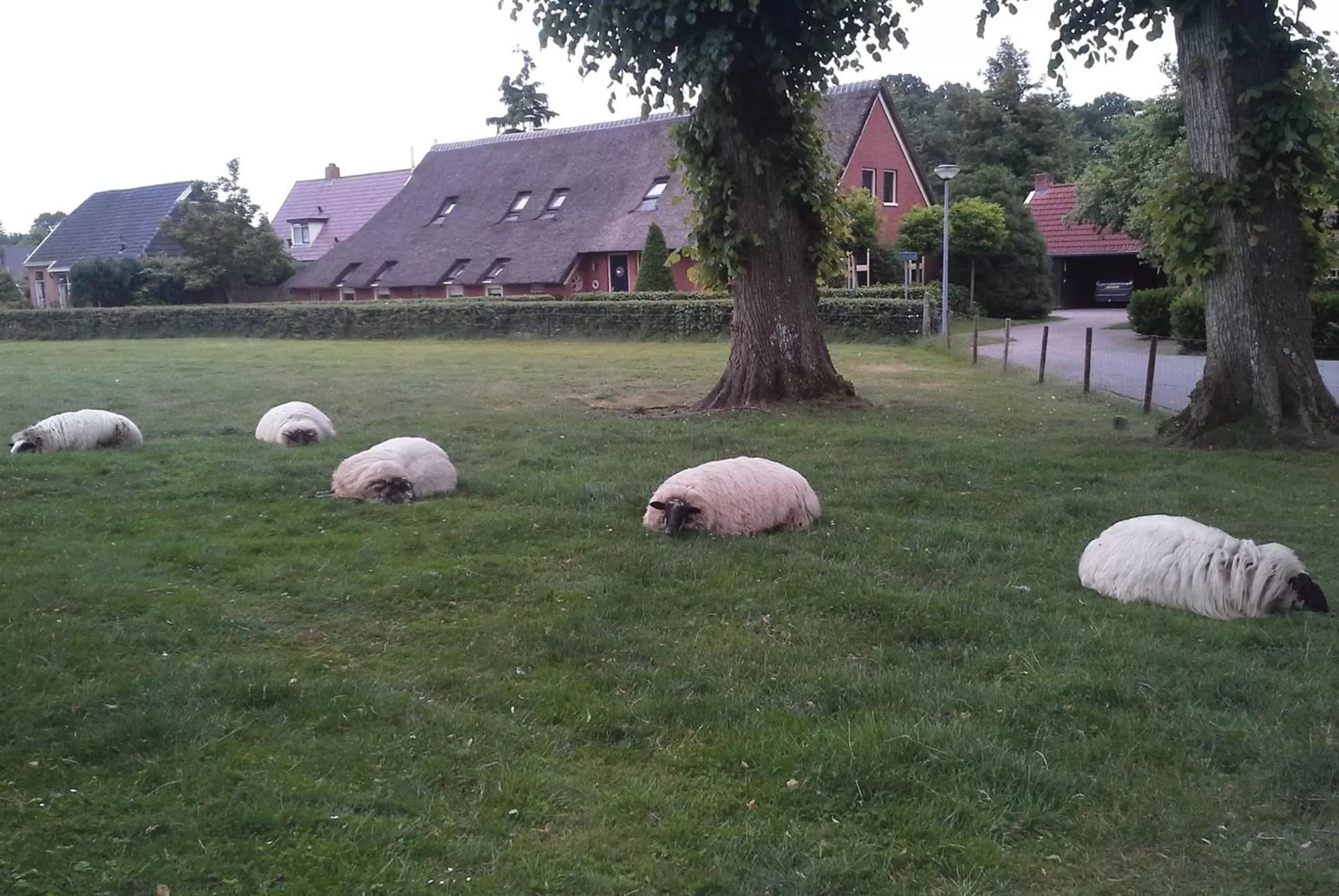 Property building in B&B d'Olle Saks