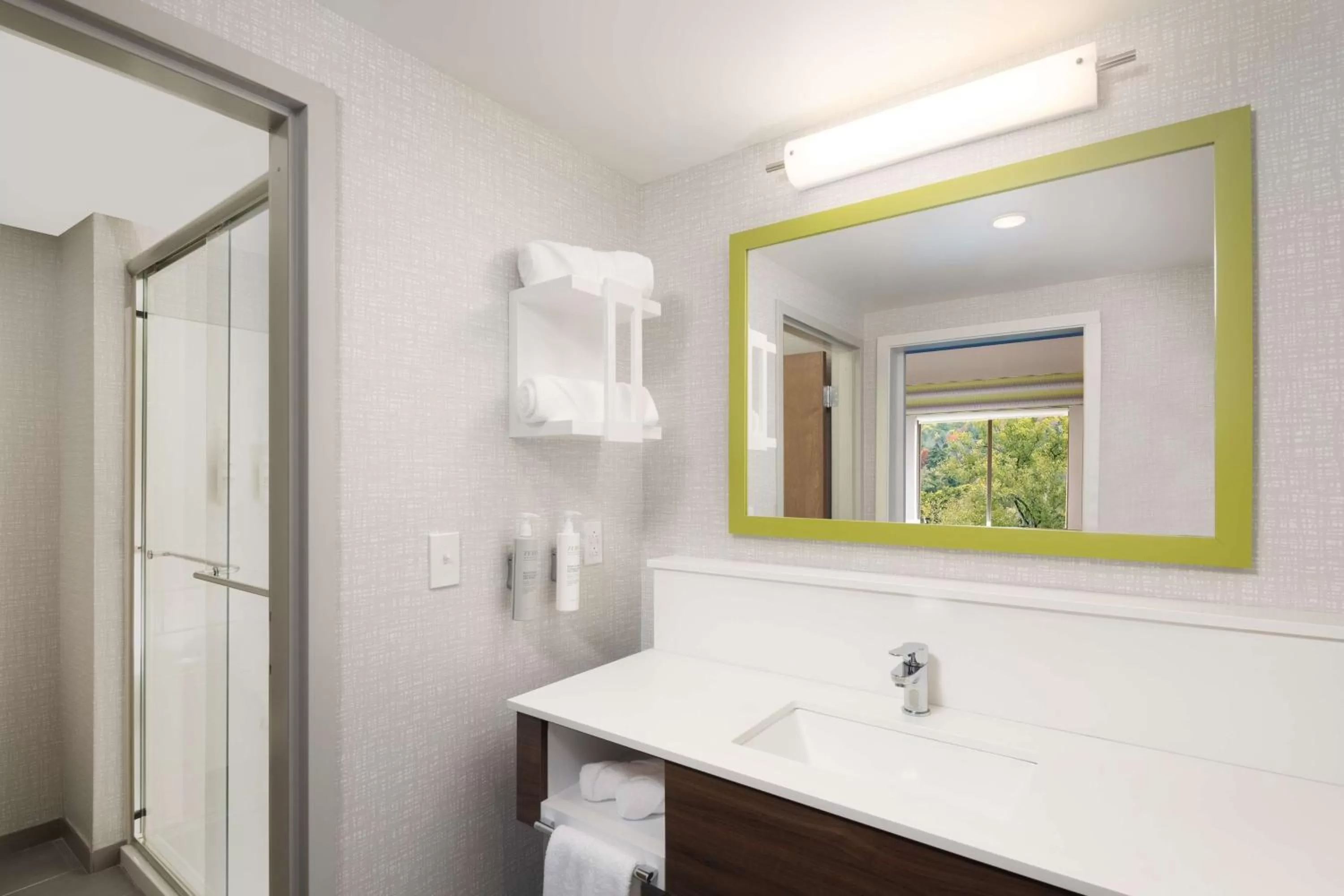 Bathroom in Hampton Inn Hornell