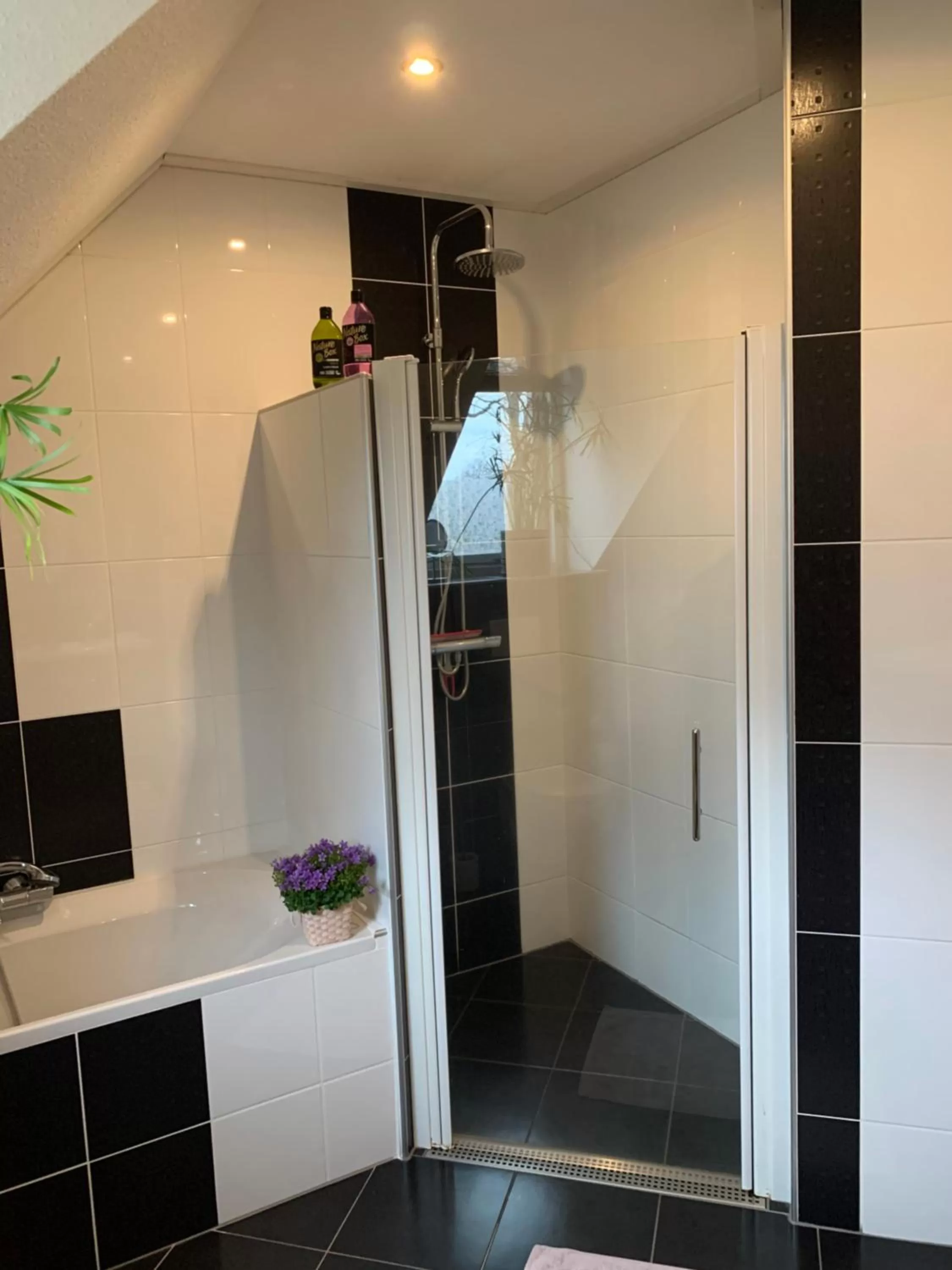 Bathroom in Brinkesdiek