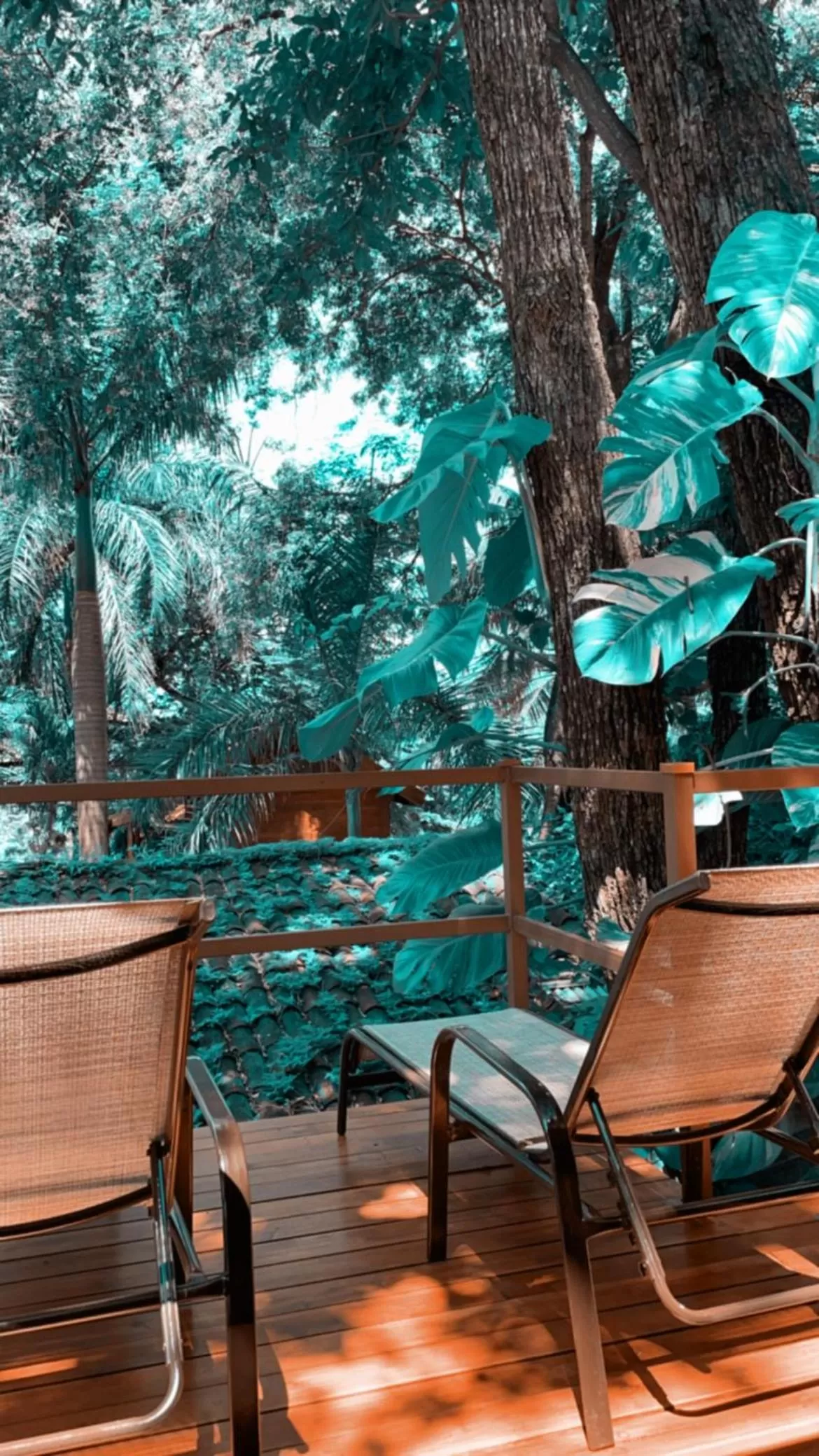 The Beach Bungalows - Yoga and Surf Hotel - Adults Only