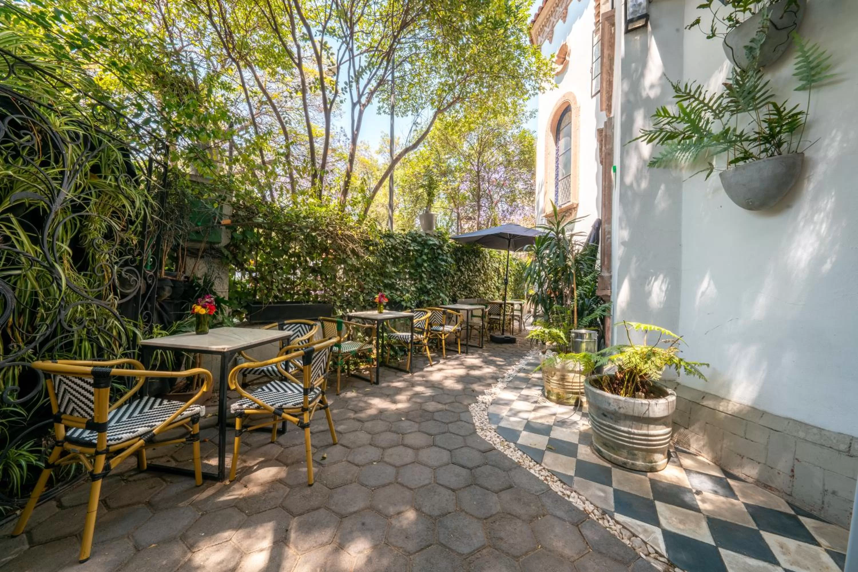 Restaurant/places to eat in Orchid House Mexico City