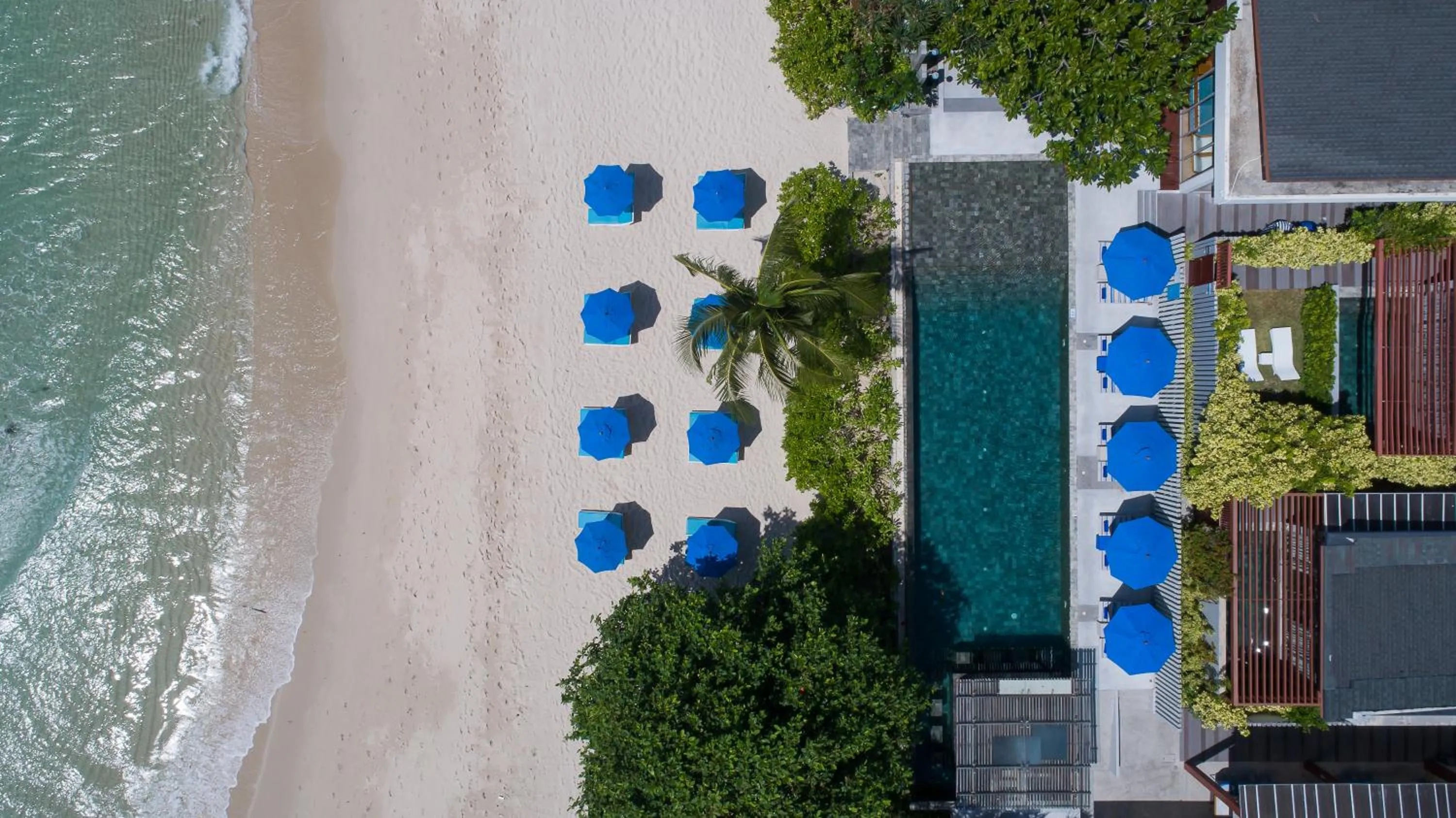 View (from property/room) in Synergy Samui