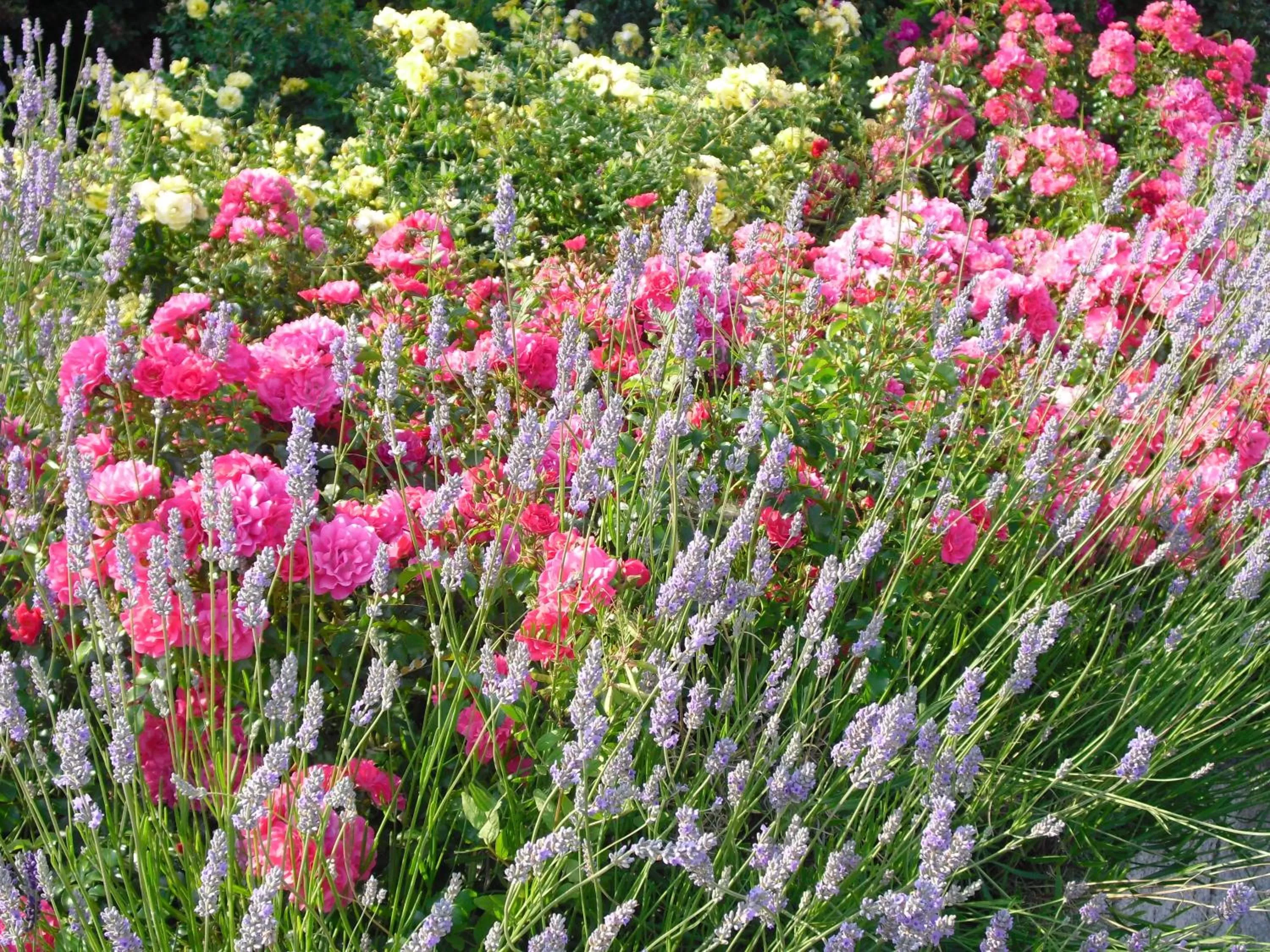 Spring in Boardingroom