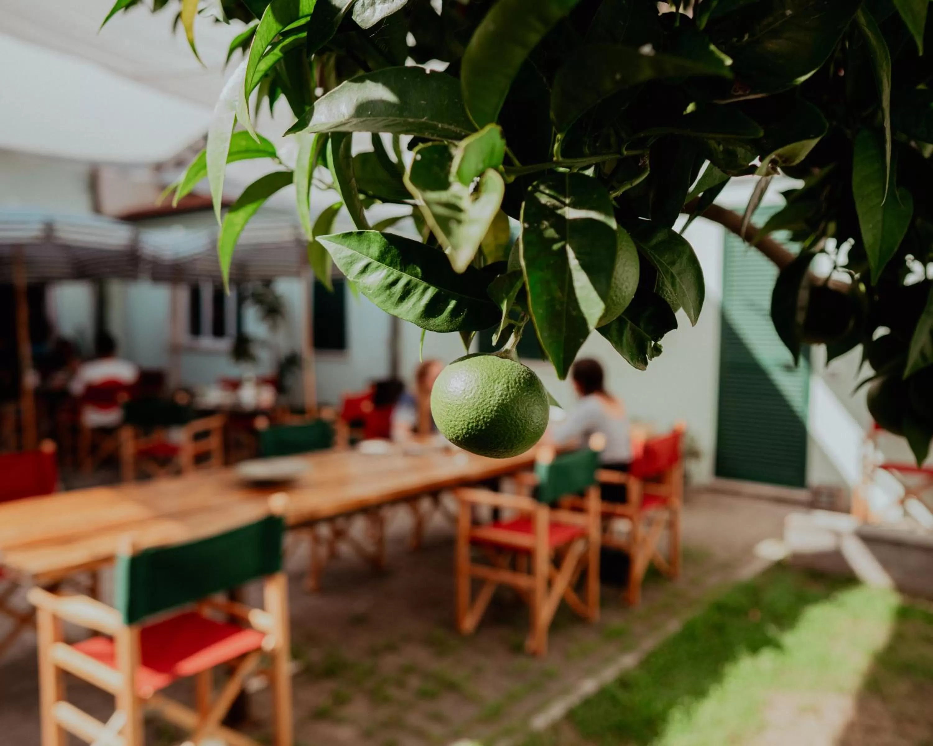 Garden, Restaurant/Places to Eat in La Bougainville Tuscan Riviera B&B and Beach Club