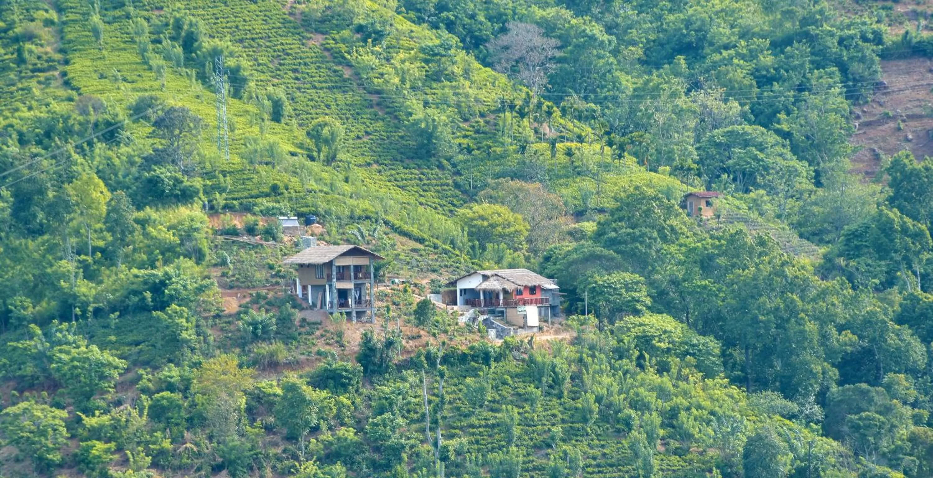 View (from property/room) in Ornateview Hotel