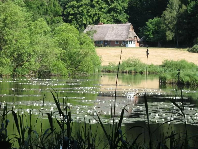 Natural landscape in Landhaus Nütschau