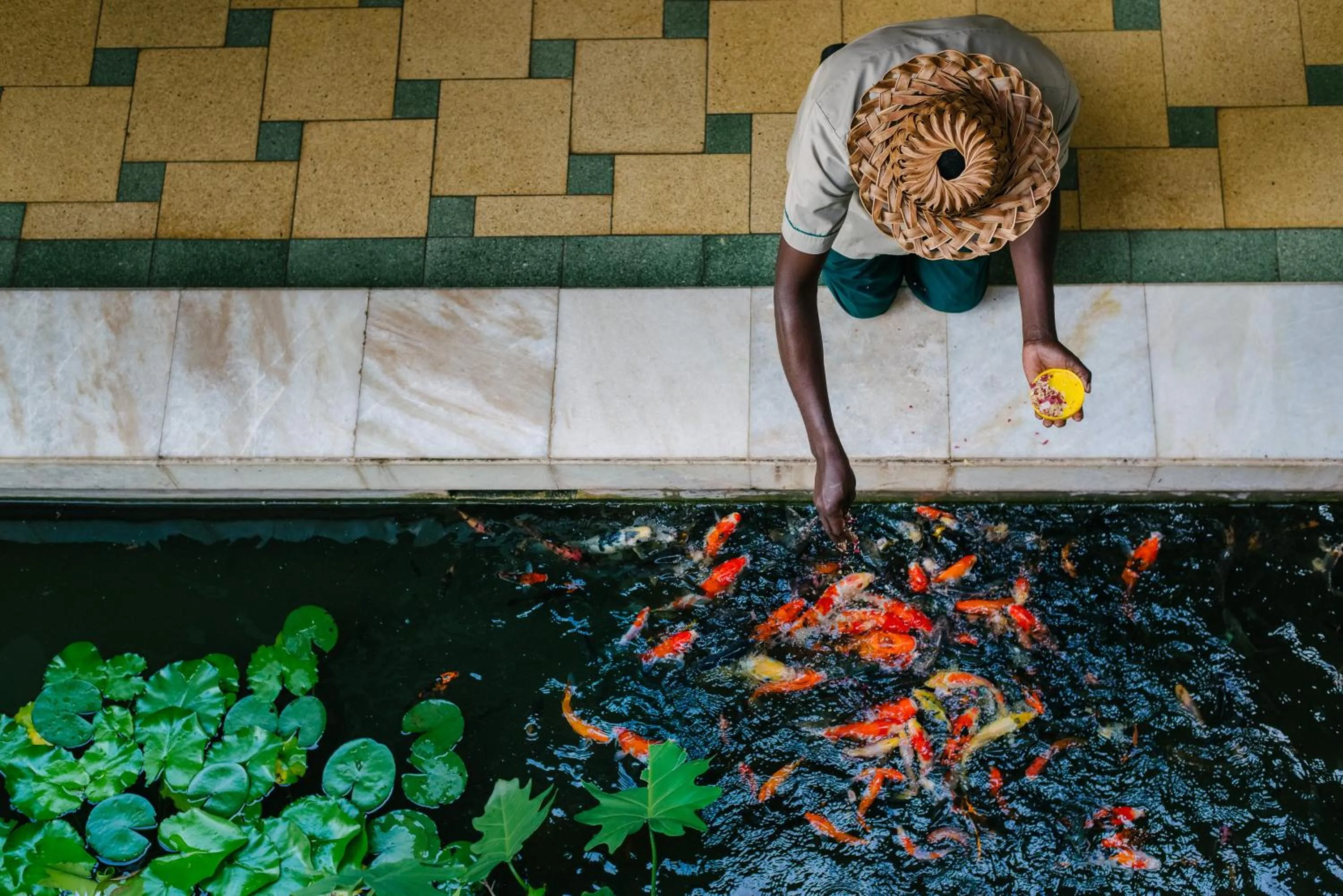 Animals in Sarova Whitesands Beach Resort & Spa