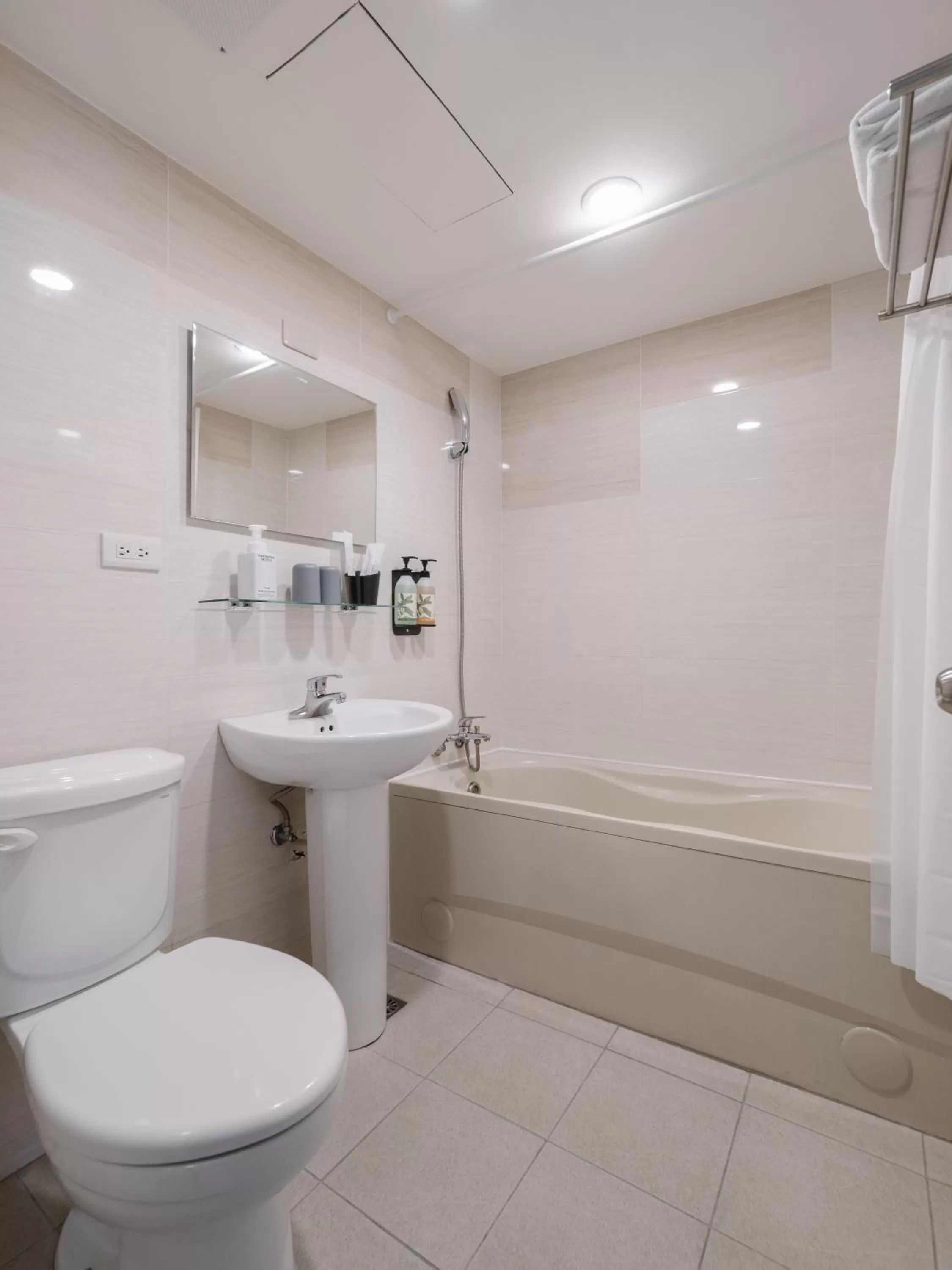 Bathroom in Hotel attic