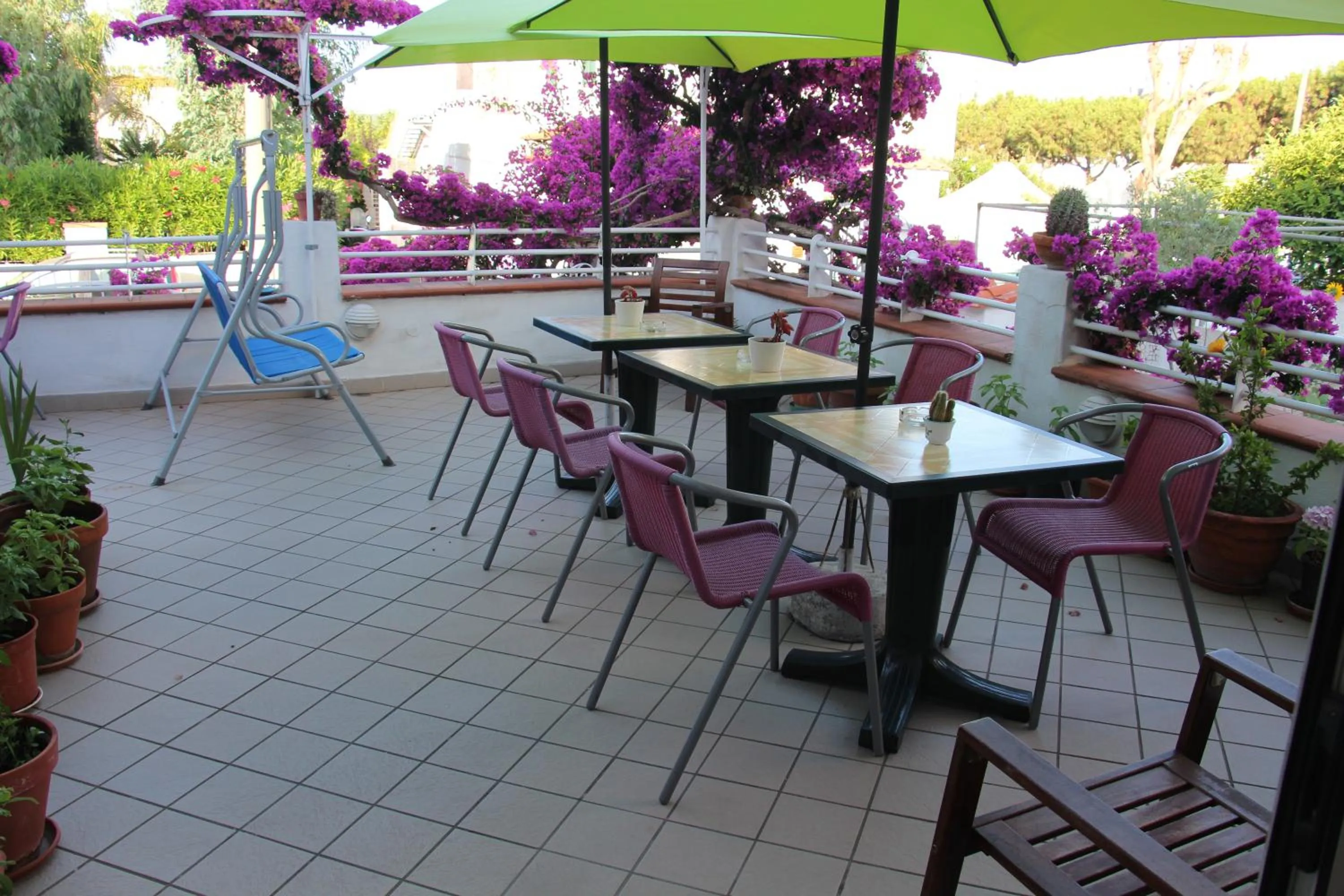 Restaurant/places to eat in Hotel Villa Cecilia