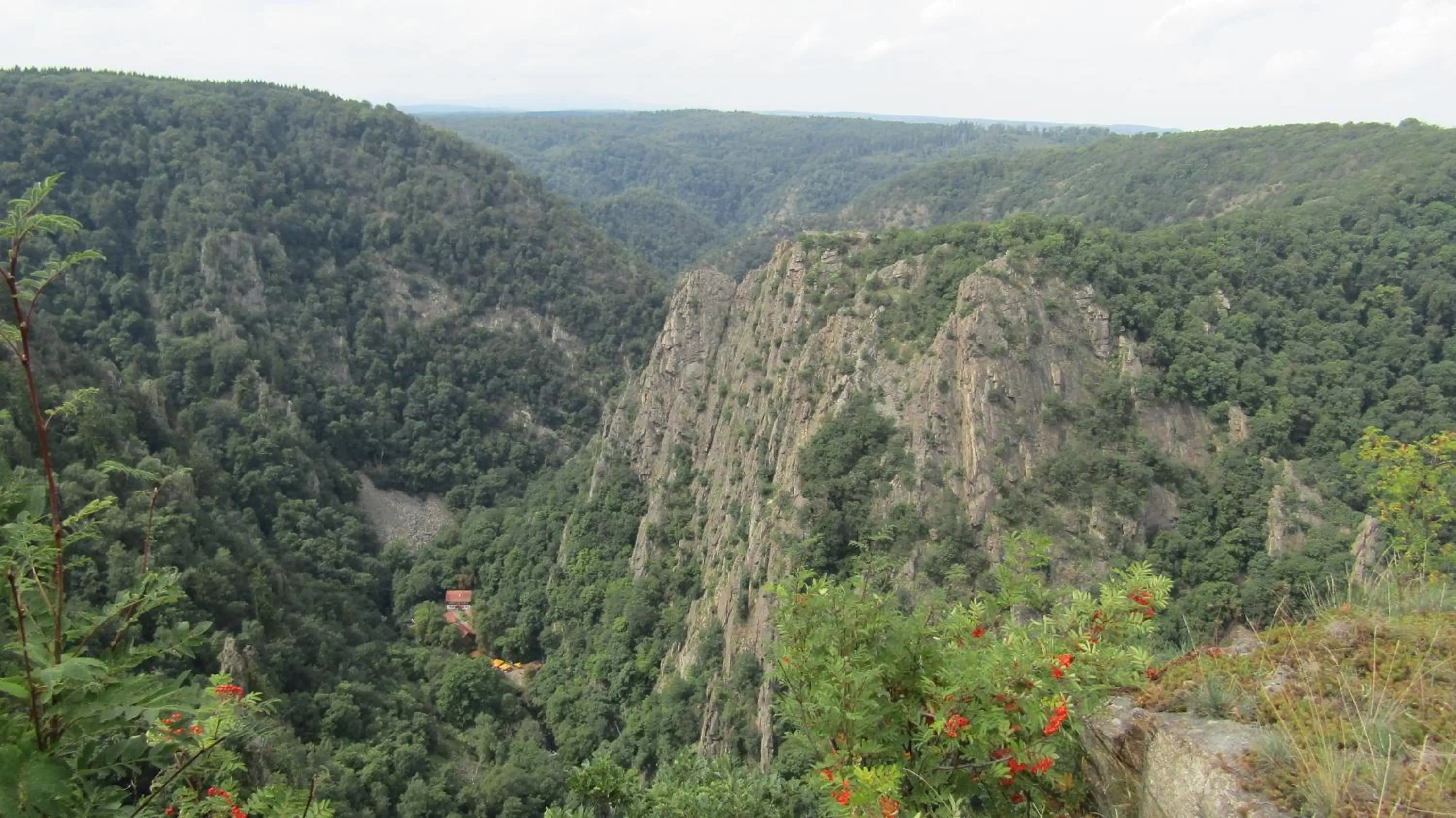 Natural landscape in Hotel Harzresidenz