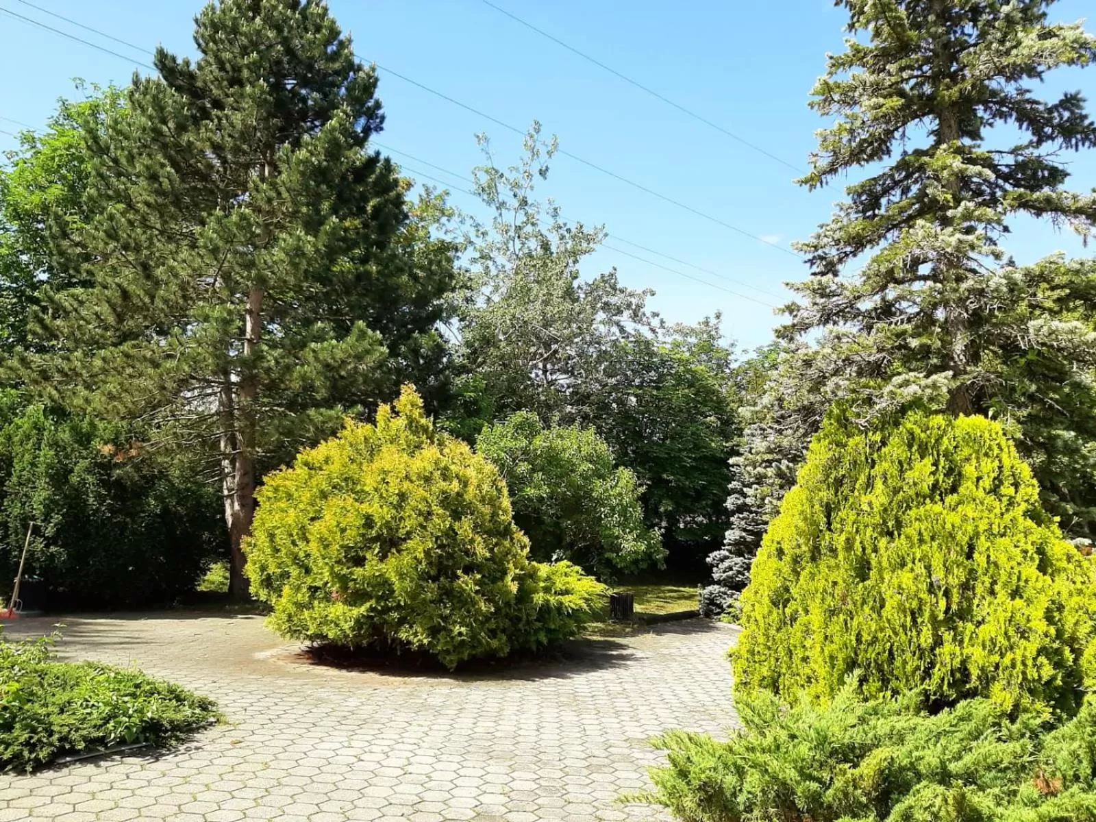 Garden in Lenas West Hotel