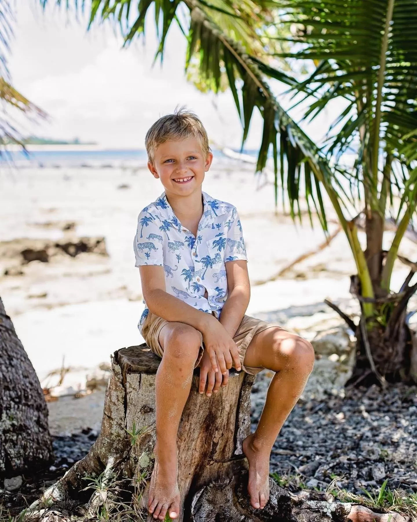View (from property/room) in Turtle Bay Lodge