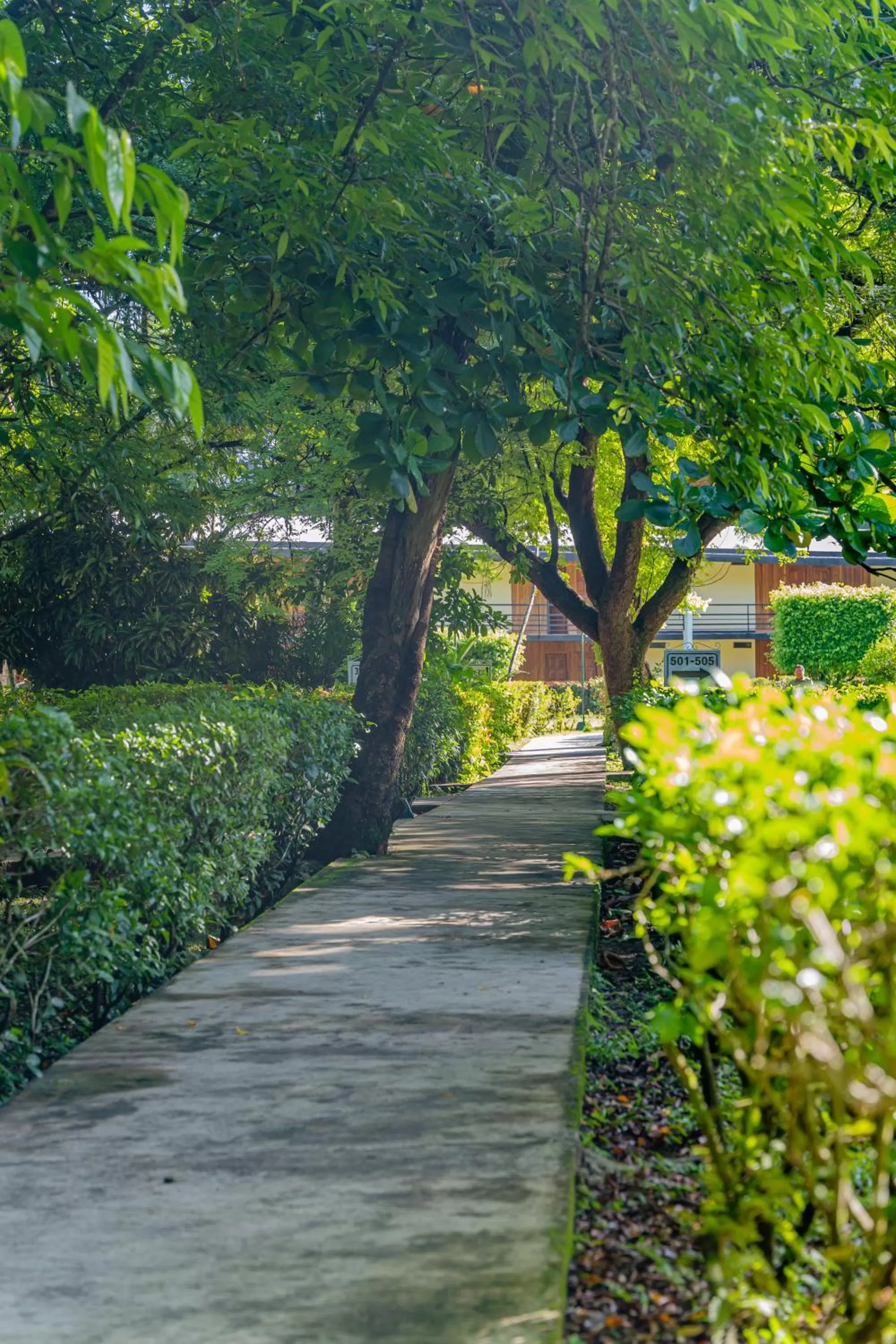 Garden in Hotel Nututun Palenque