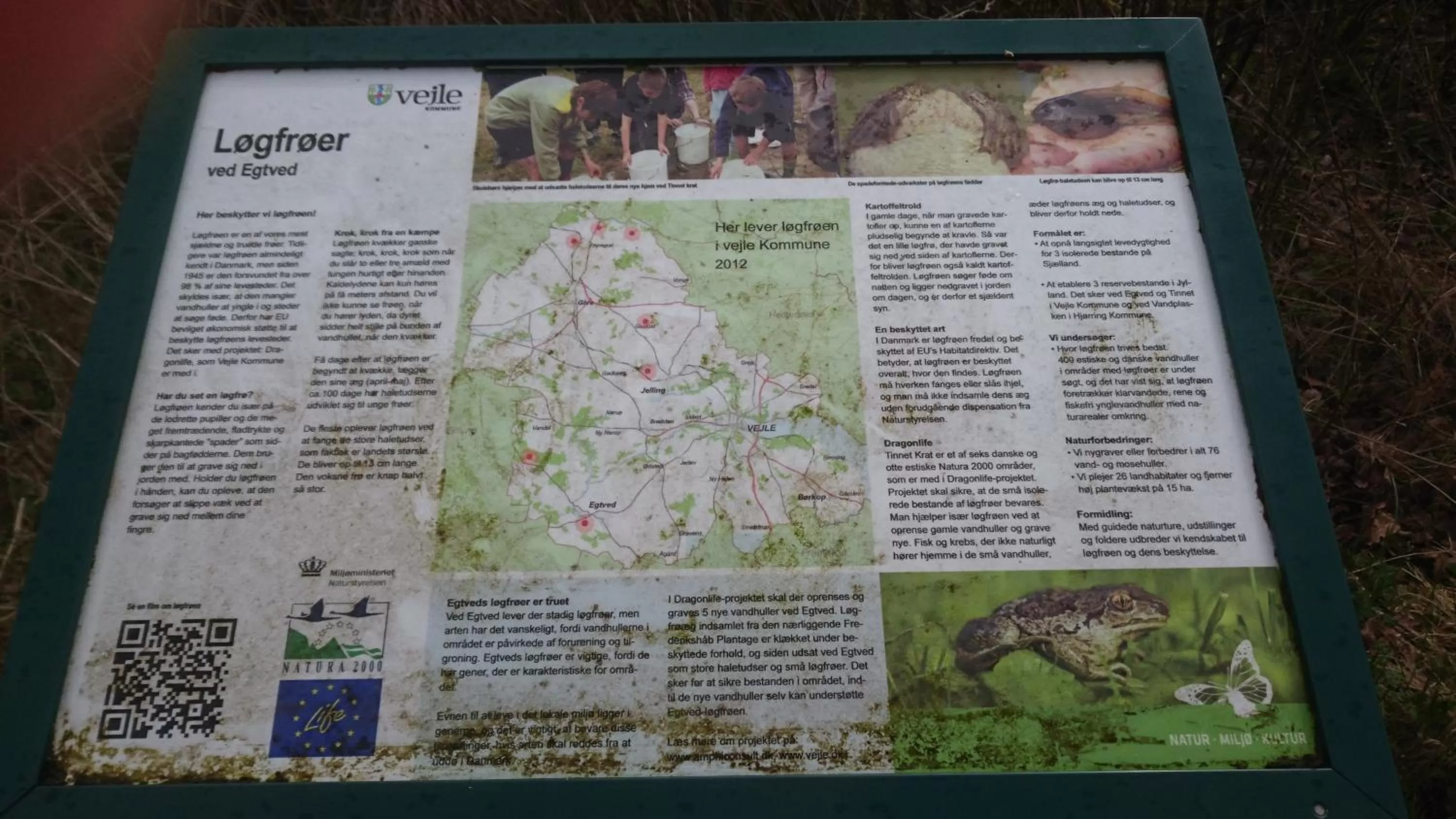 Nearby landmark, Logo/Certificate/Sign/Award in Egtved Hotel