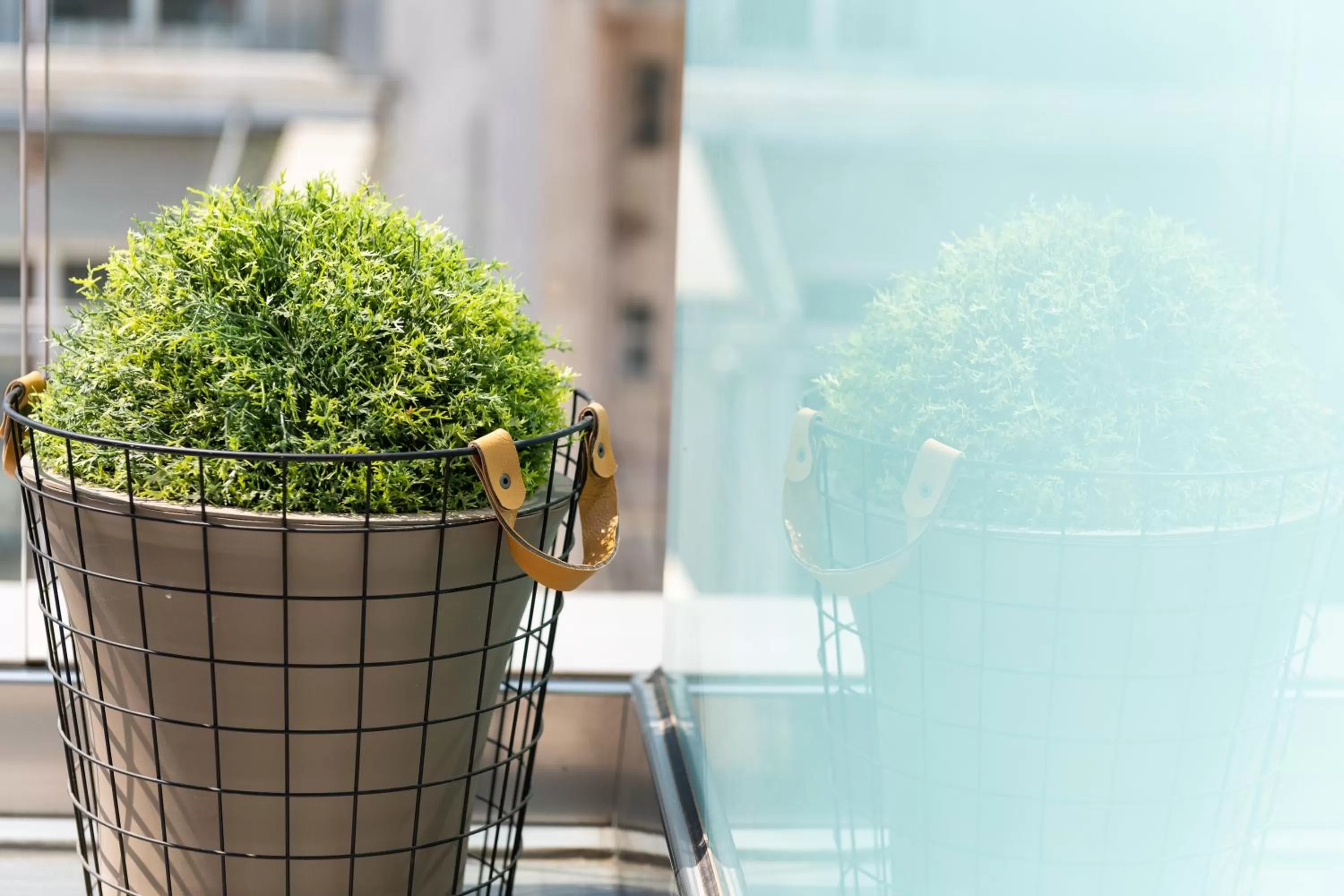 Balcony/Terrace in Enattica Suites