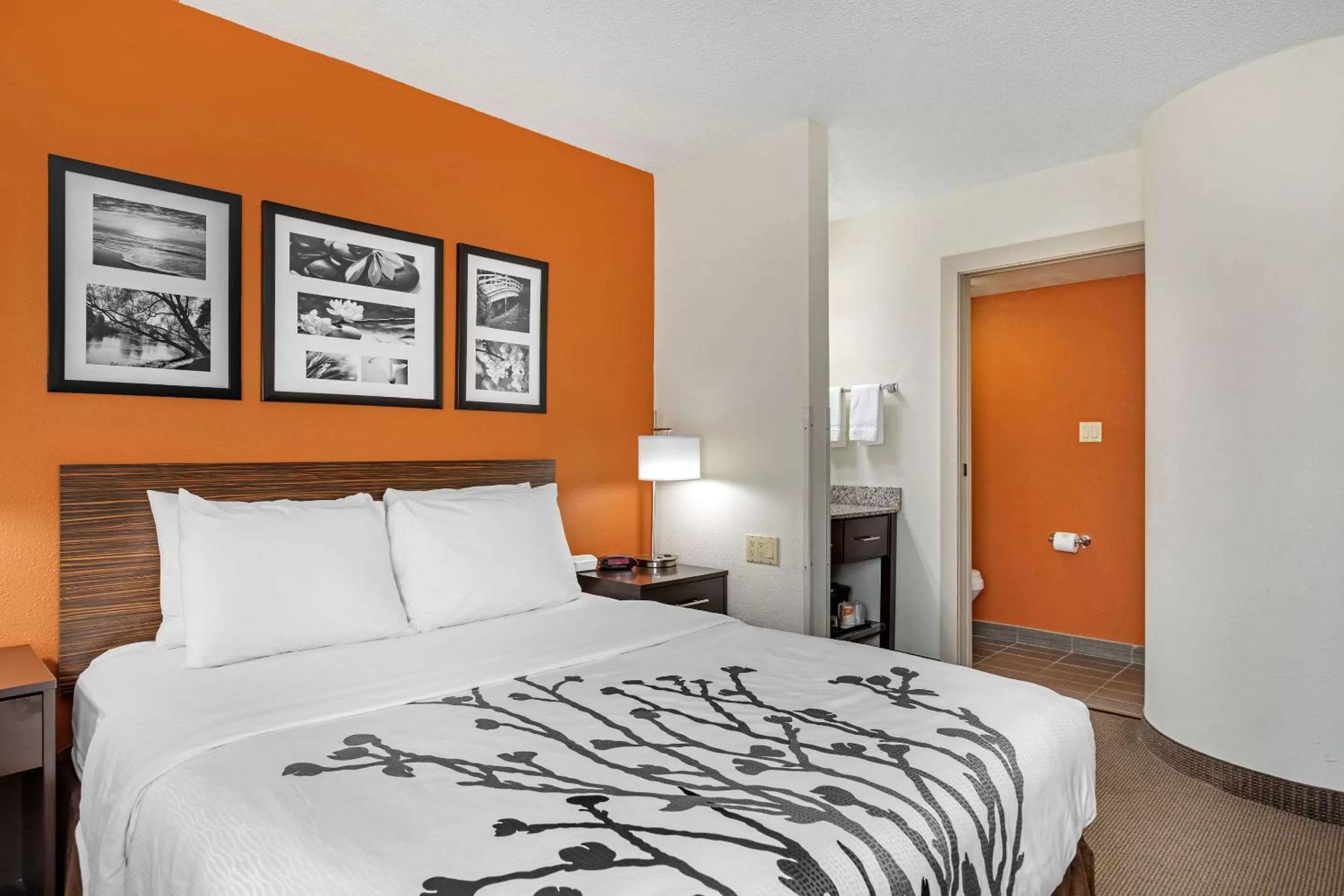 Photo of the whole room, Bed in Sleep Inn DeWitt - Lansing North