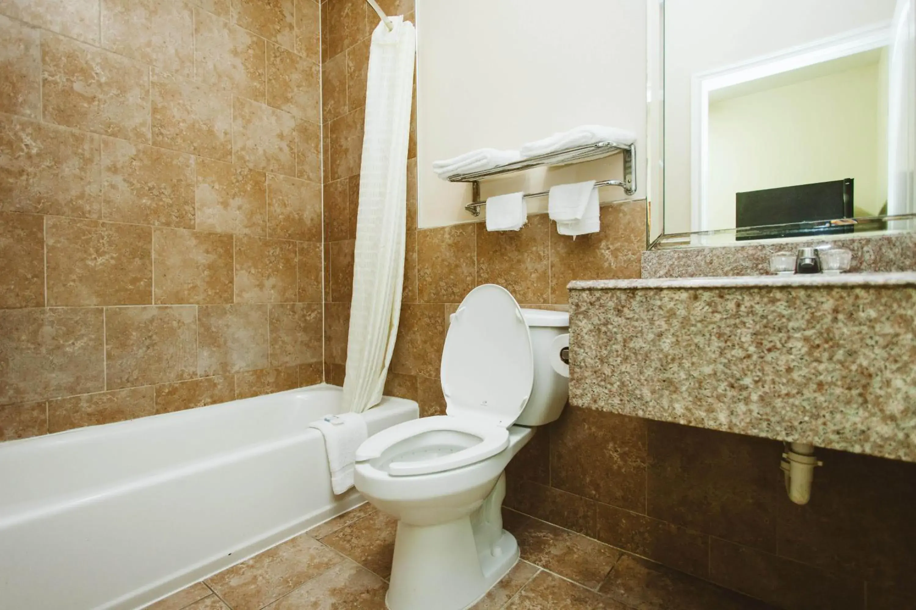 King Studio in Palace Inn - Baytown I-10 King Studio in Palace Inn - Baytown I-10